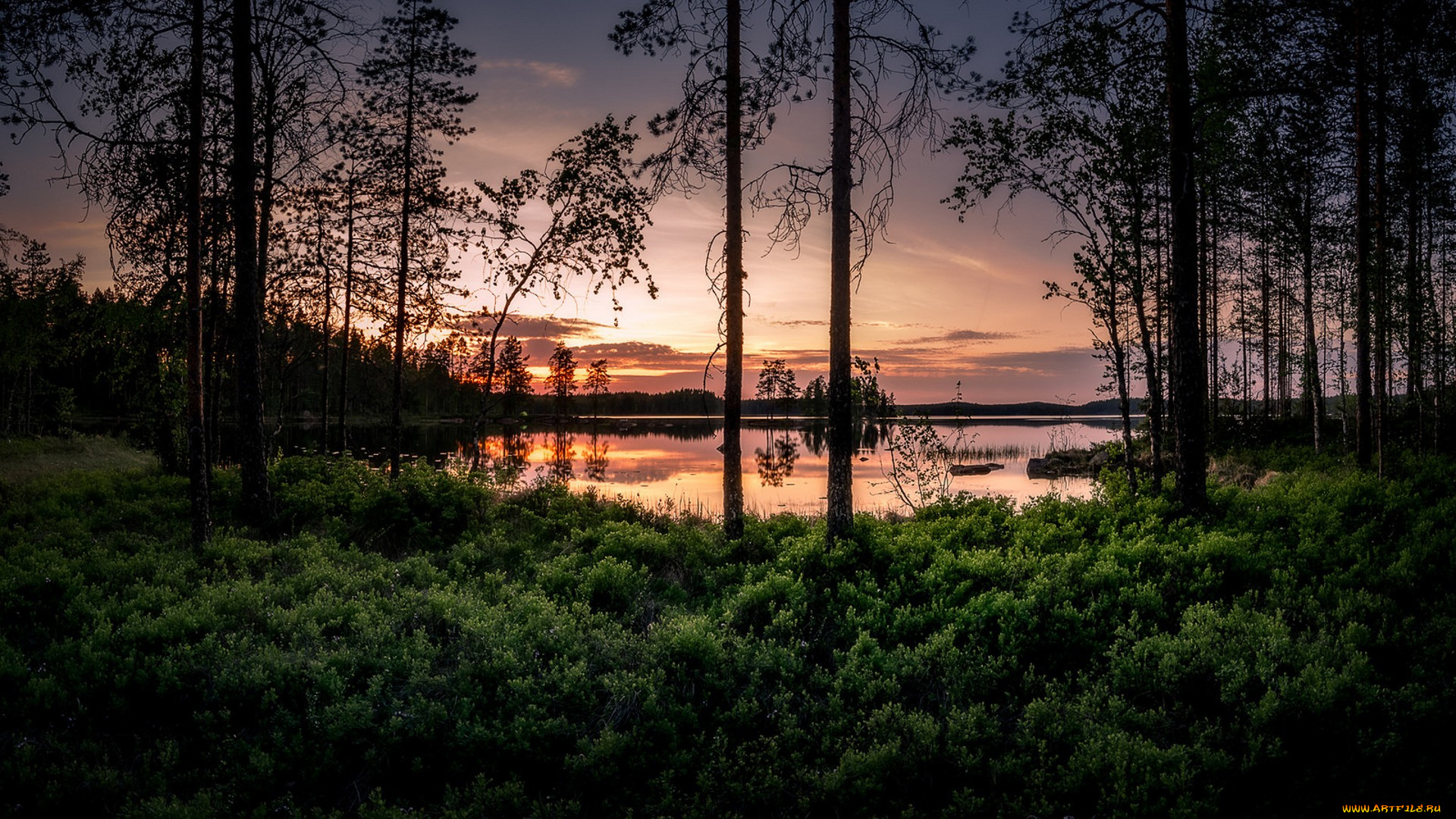 природа, реки, озера, простор