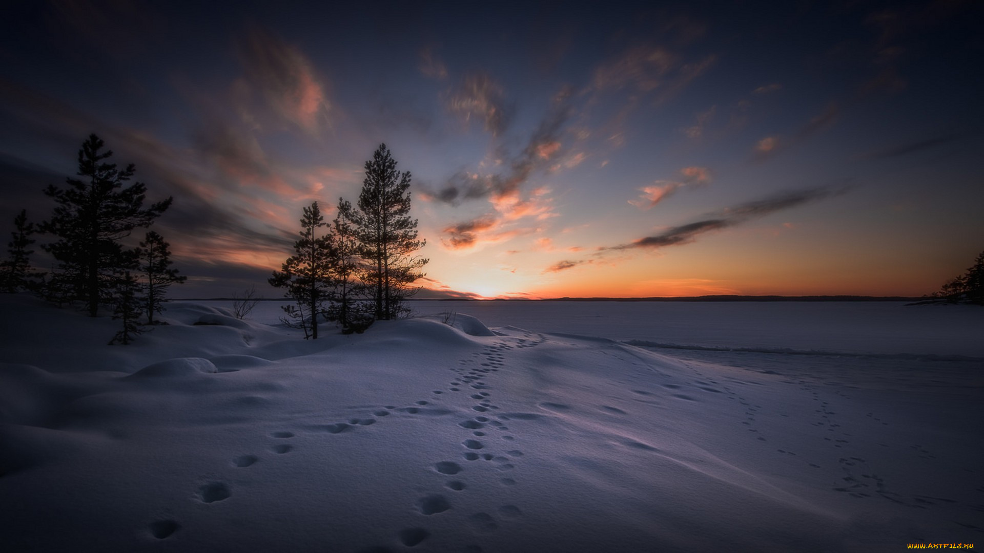 природа, зима, простор