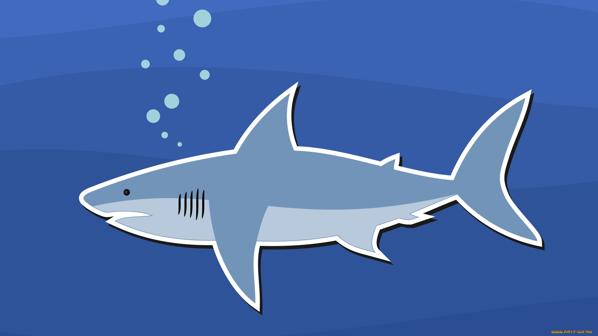 векторная, графика, животные, , animals, акула