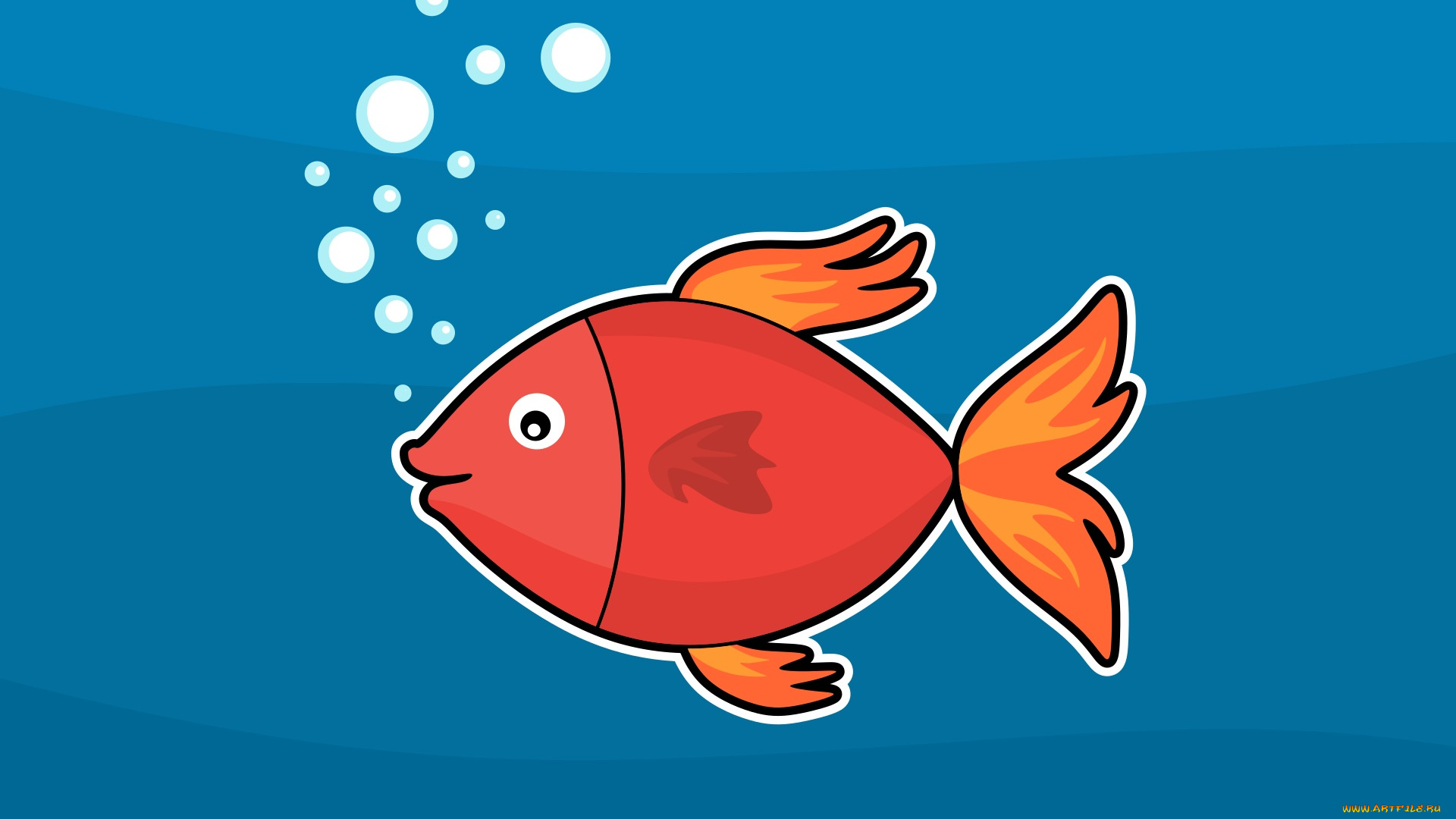 векторная, графика, животные, , animals, море, акула