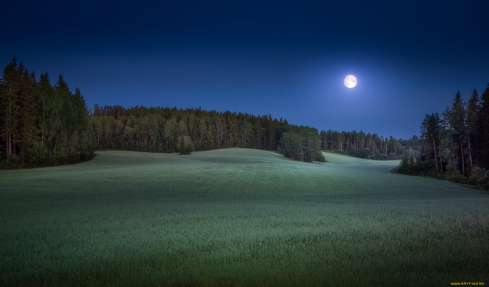 природа, пейзажи, простор
