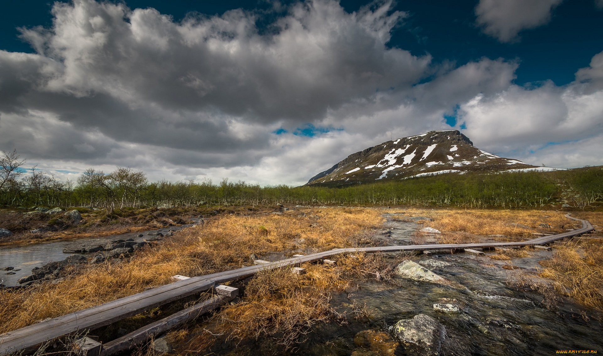 природа, пейзажи, простор