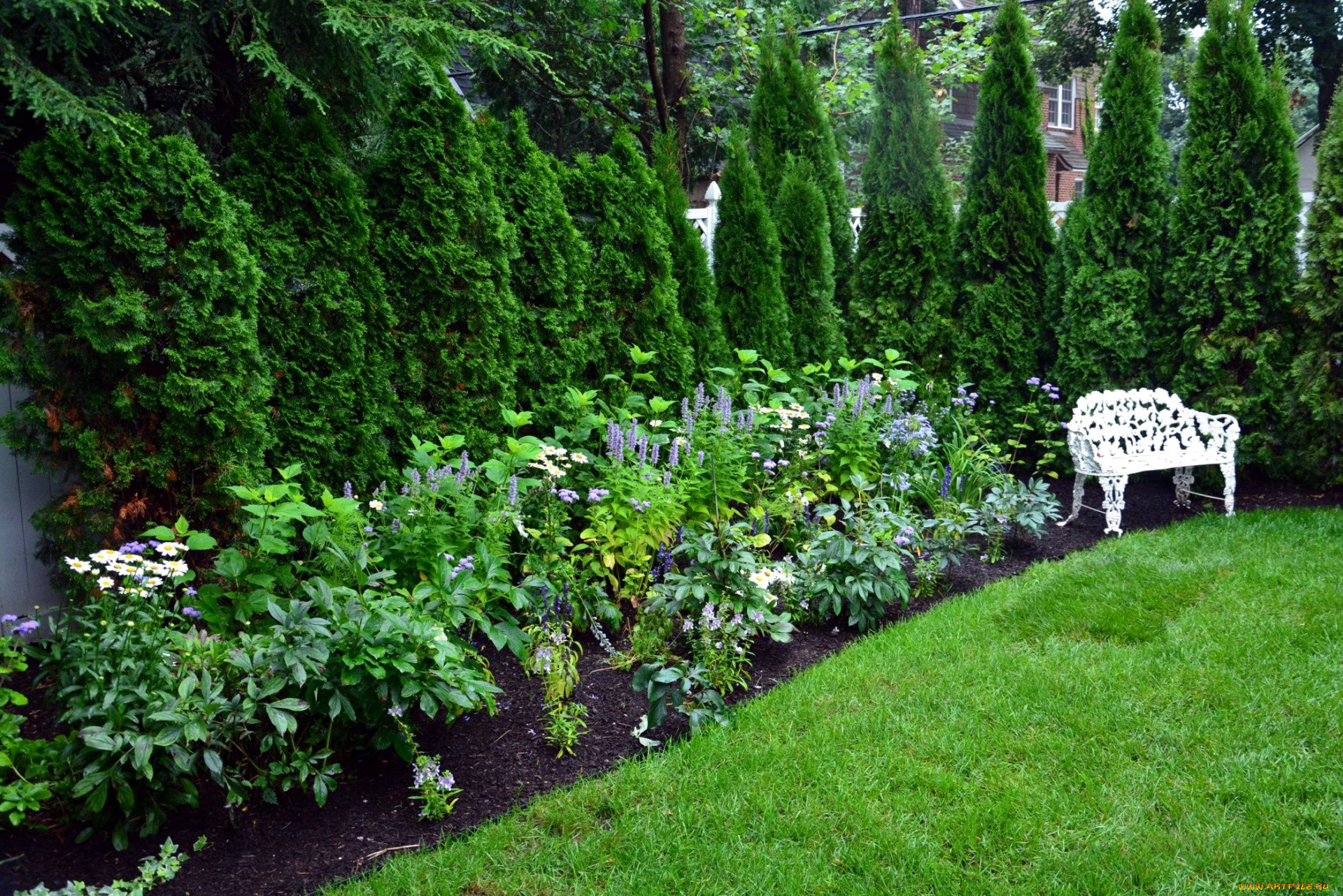 природа, парк, скамейка, клумба, лужайка