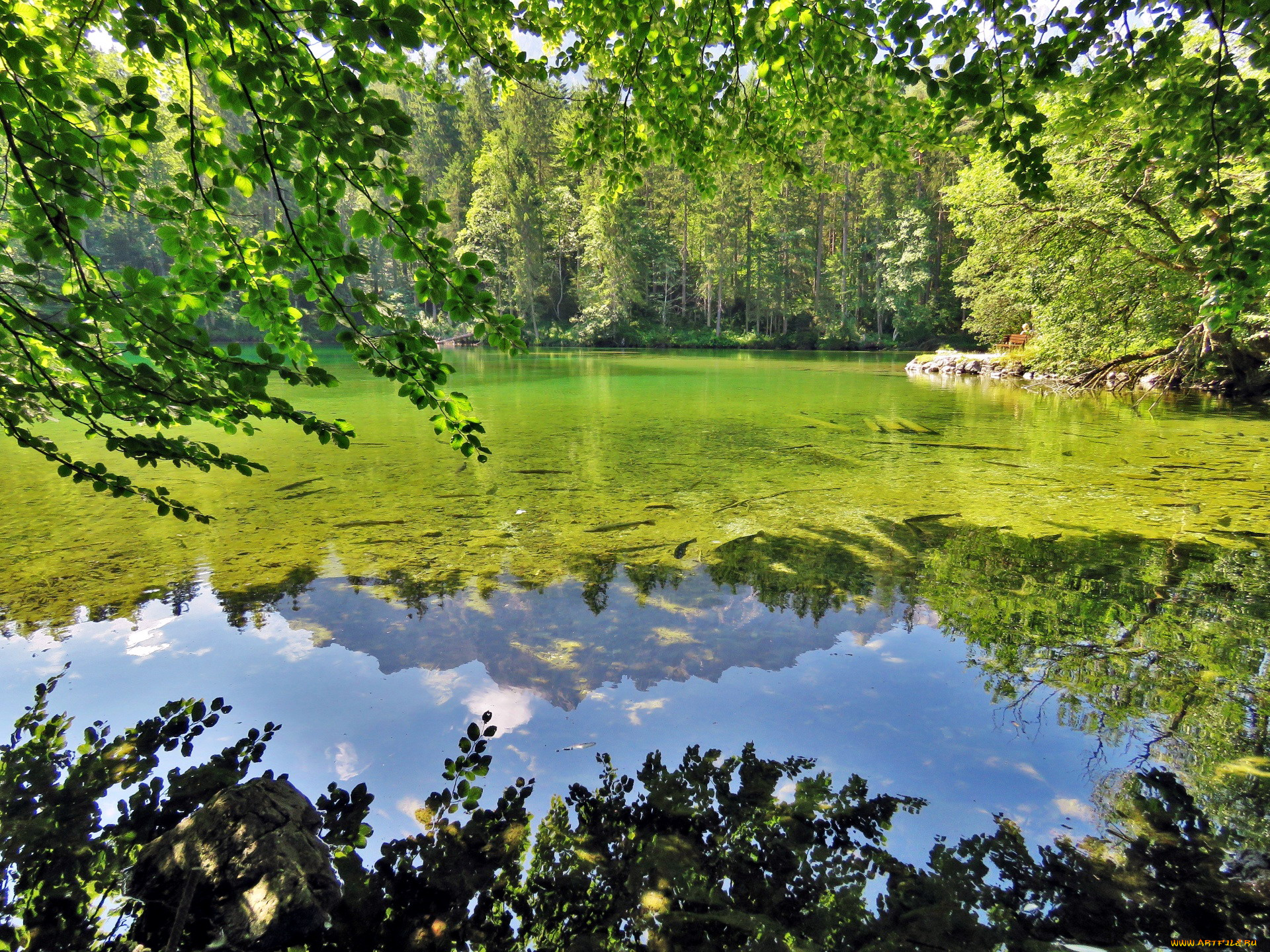 природа, реки, озера, отражение, вода