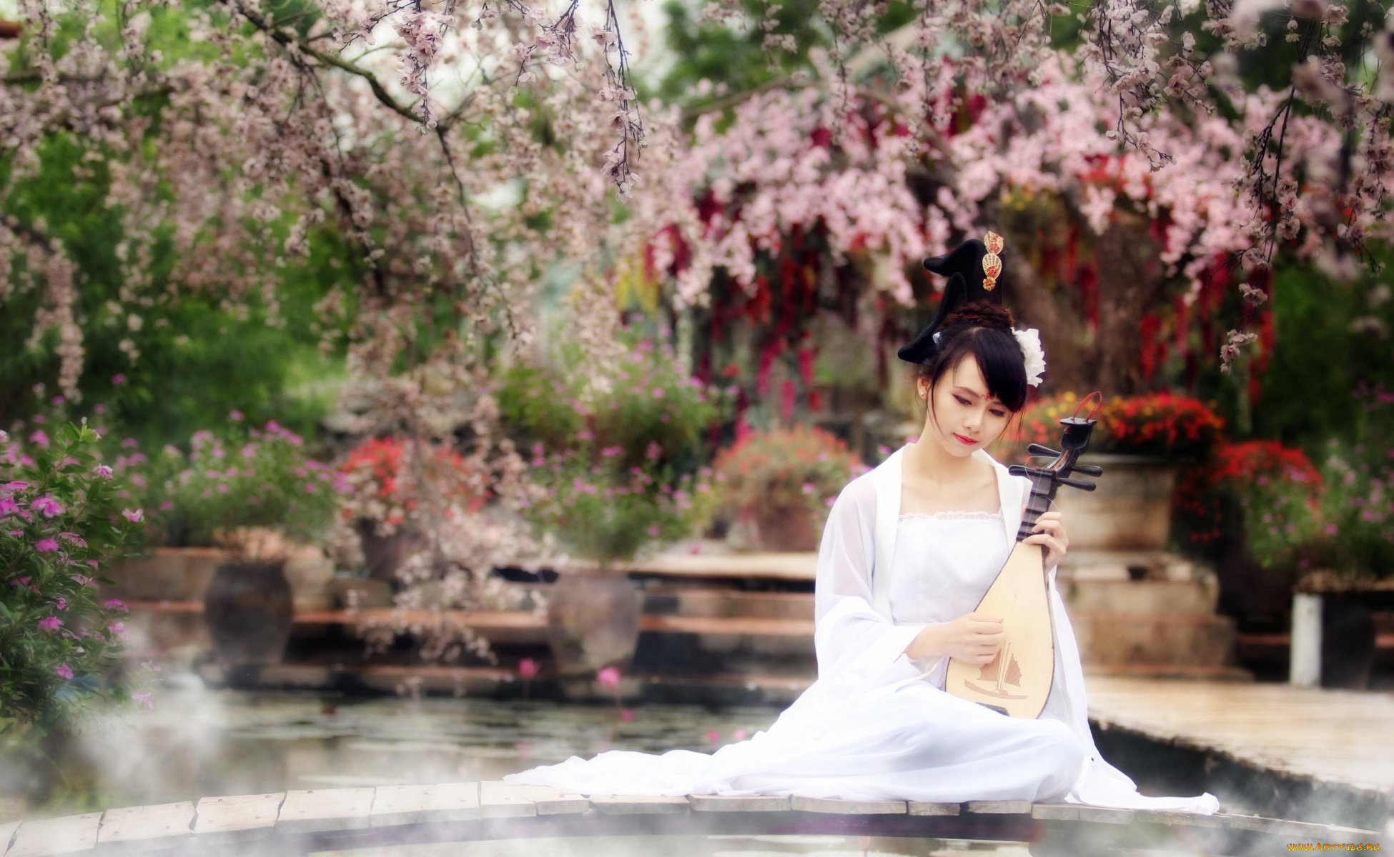 музыка, -другое, деревья, природа, инструмент, девушка, азиатка