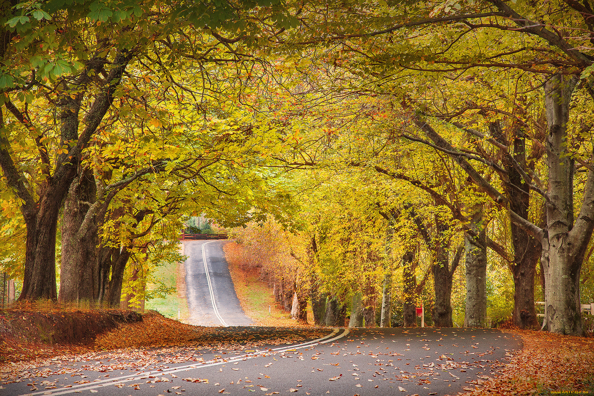 природа, дороги, простор