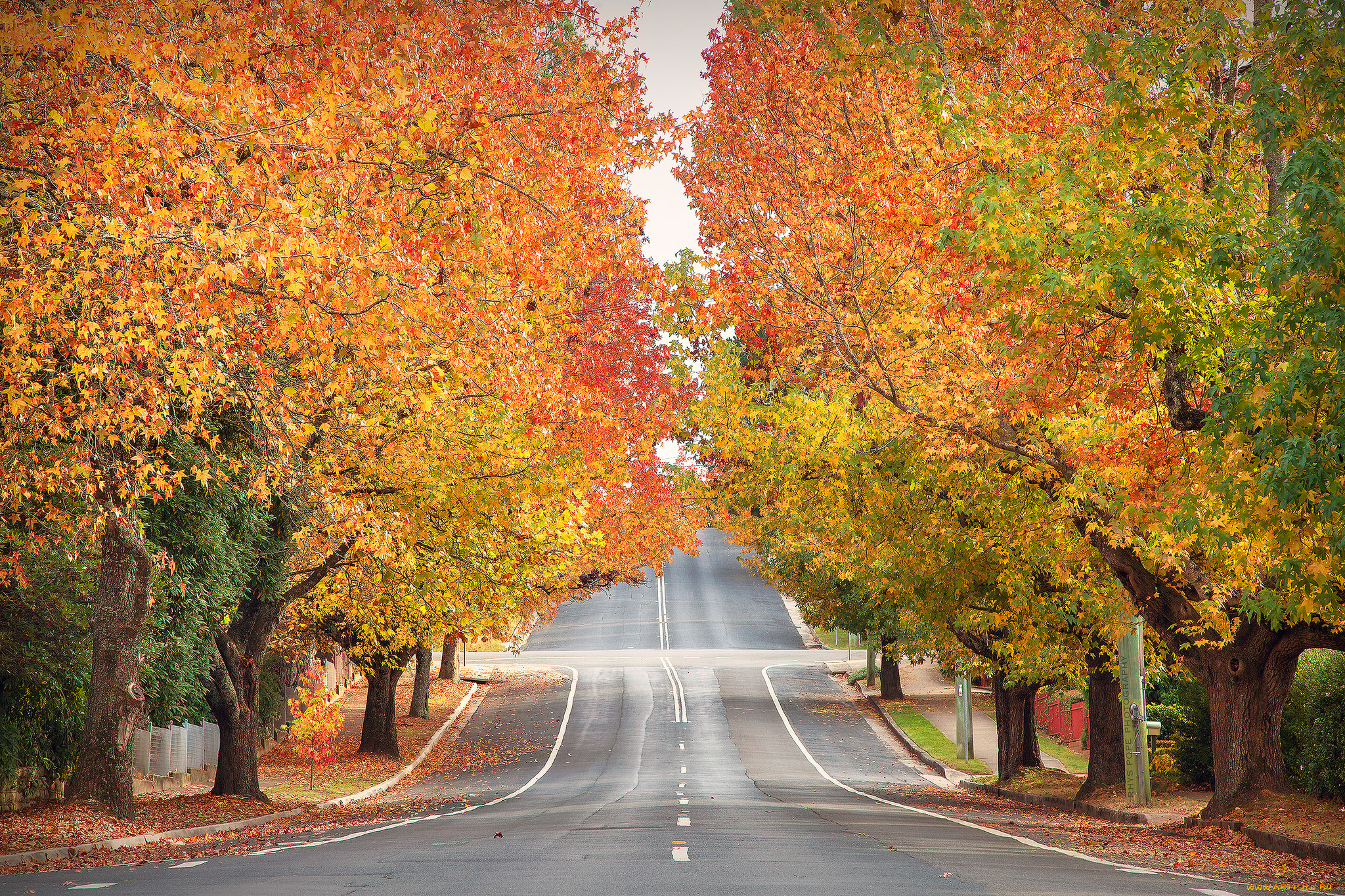 природа, дороги, простор