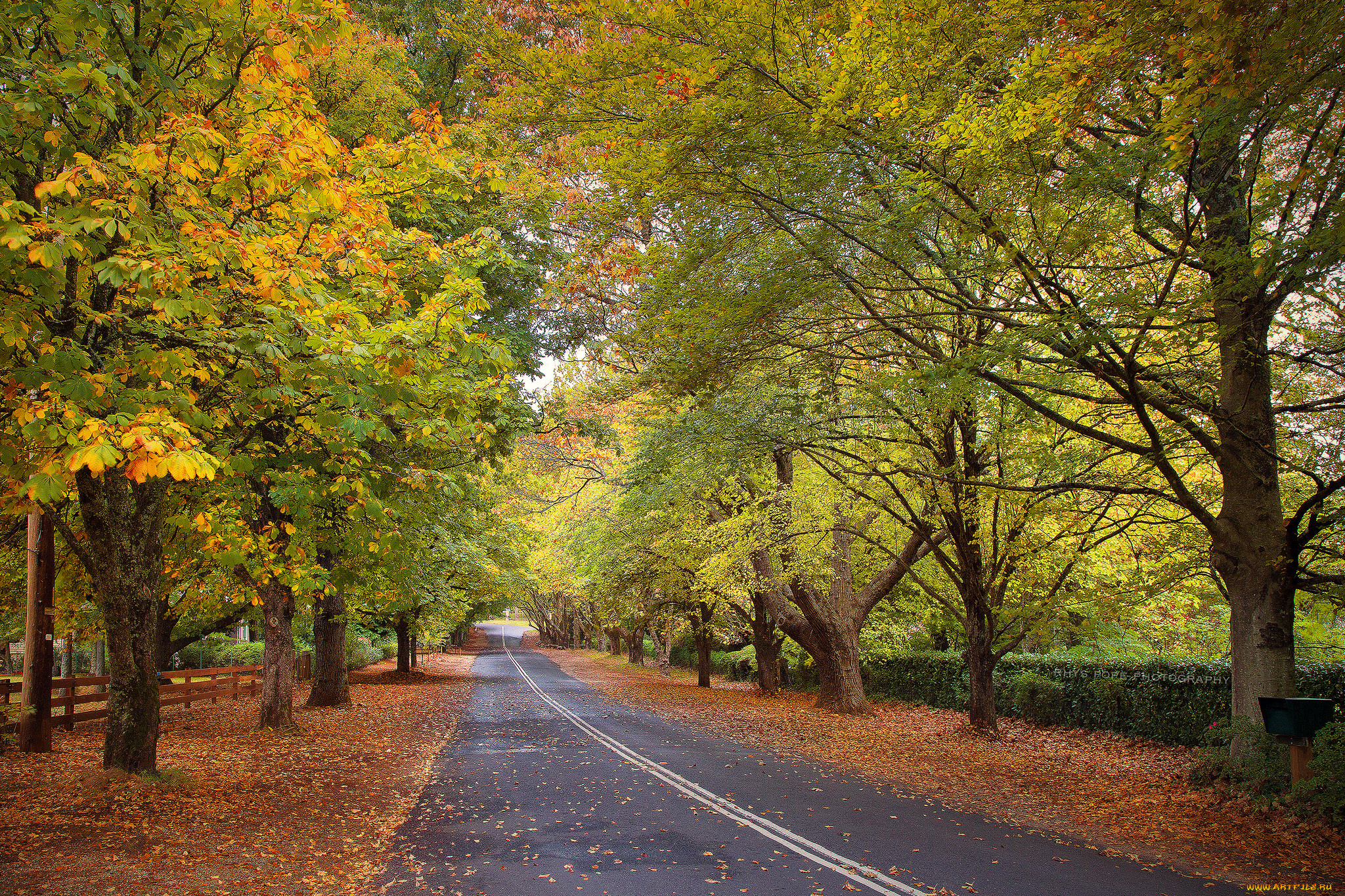 природа, дороги, простор
