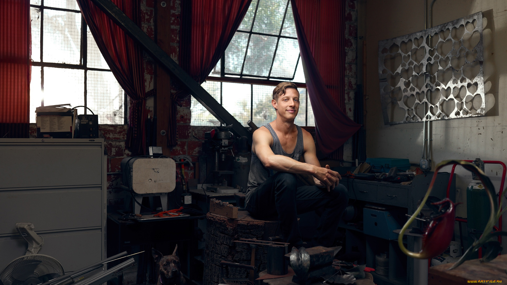 мужчины, -, unsort, мастер, собака, окна, детали