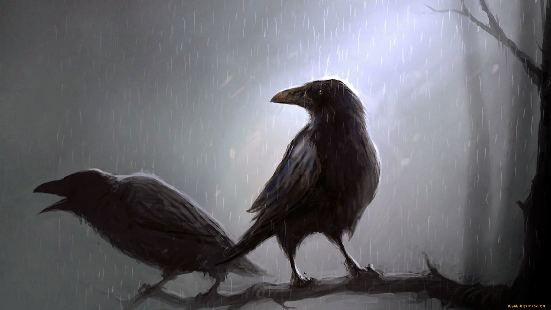 видео, игры, age, of, conan, , hyborian, adventures, вороны, дождь, ветка