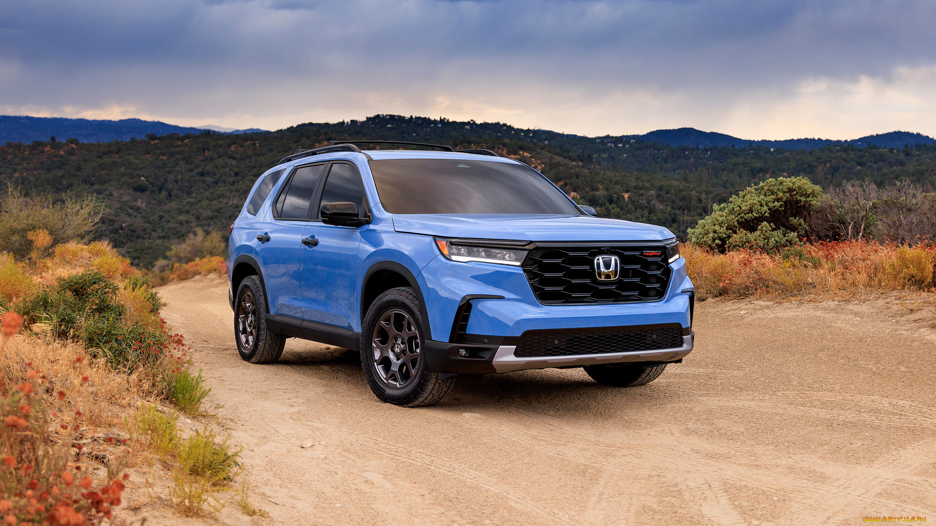 honda, pilot, trailsport, 2023, автомобили, honda, pilot, trailsport, cиний, хонда, кроссовер