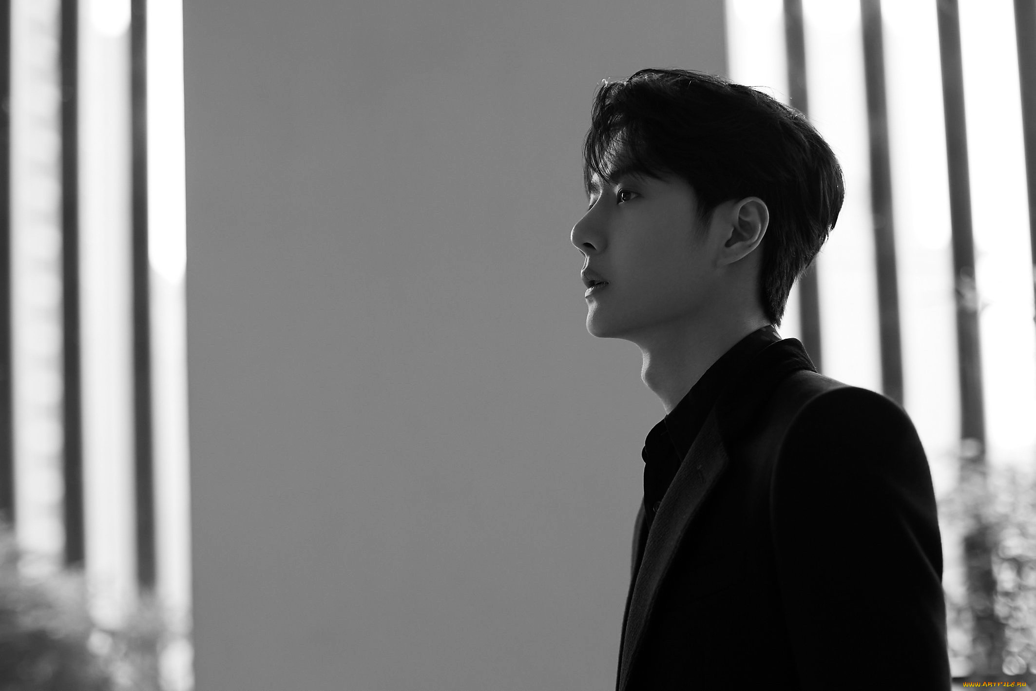 мужчины, wang, yi, bo, актер, пиджак