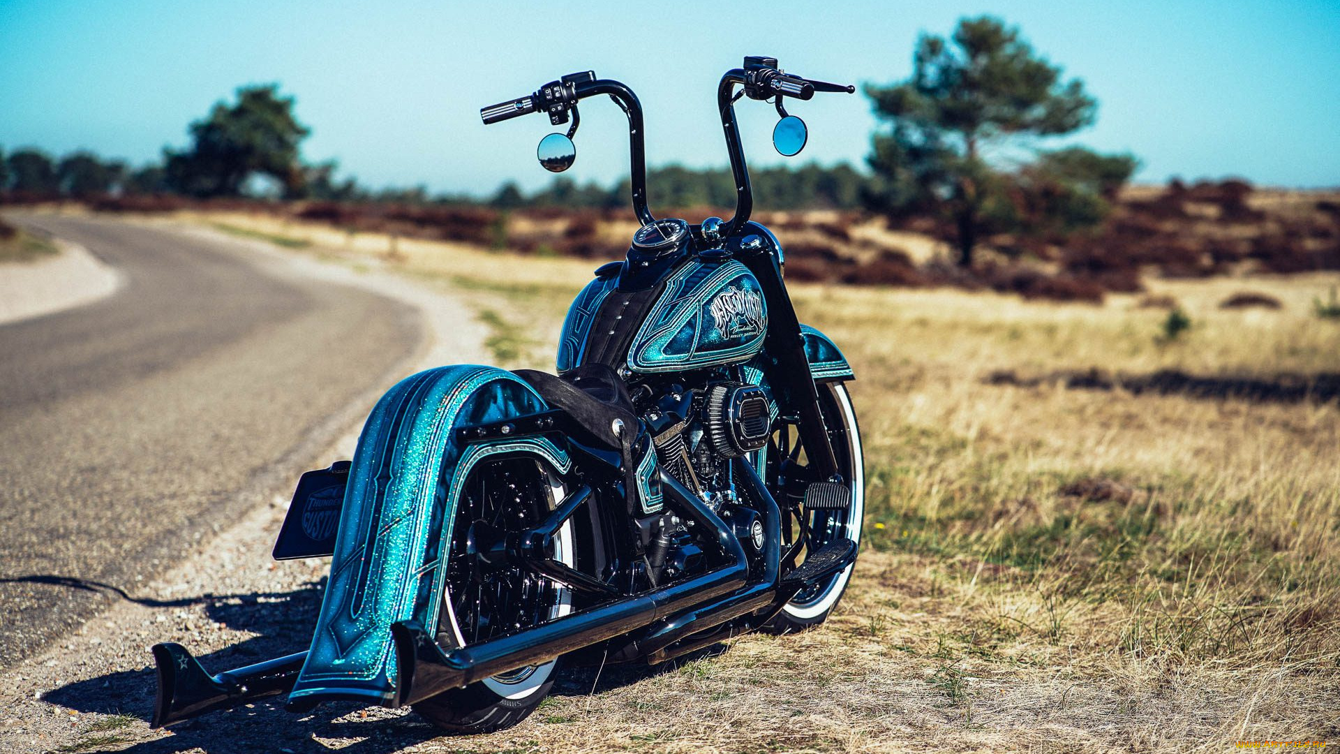 харлей, мотоциклы, harley-davidson, мотоцикл, байк, thunderbike, customs