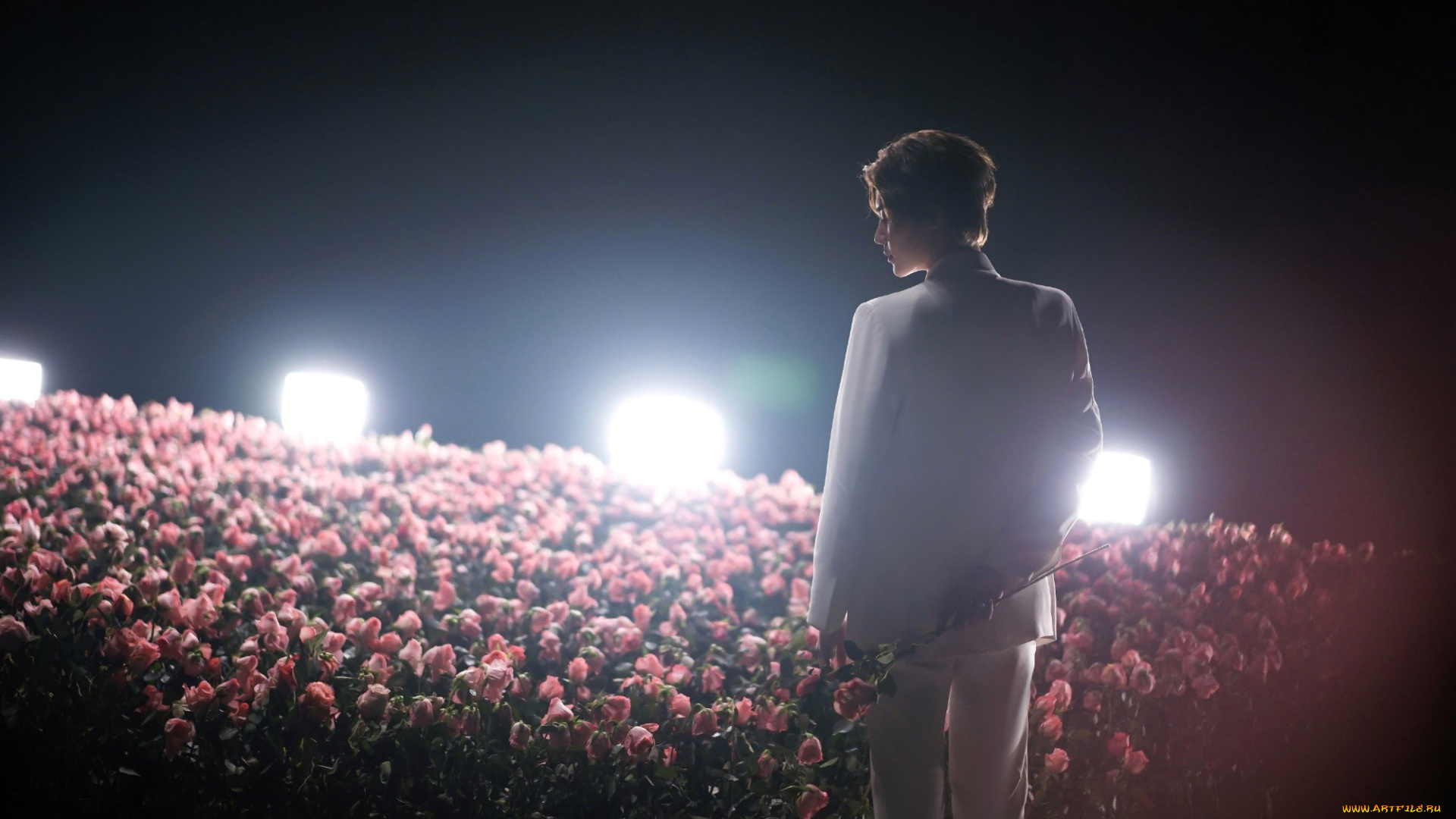 мужчины, hou, ming, hao, актер, свет, костюм, цветы, розы