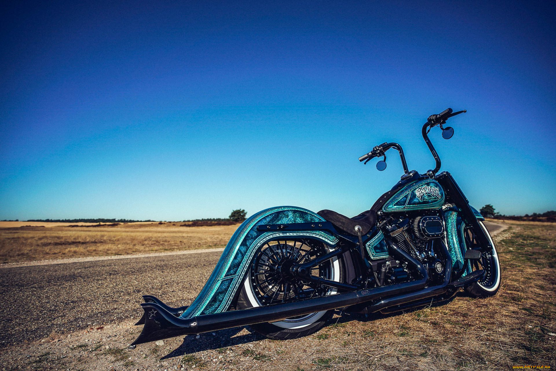 харлей, мотоциклы, harley-davidson, мотоцикл, байк, thunderbike, customs