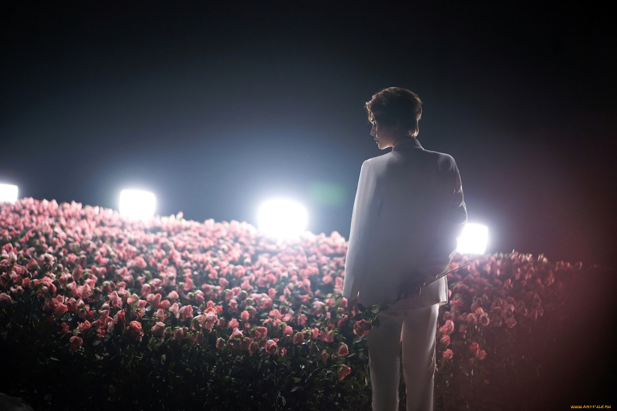 мужчины, hou, ming, hao, актер, свет, костюм, цветы, розы