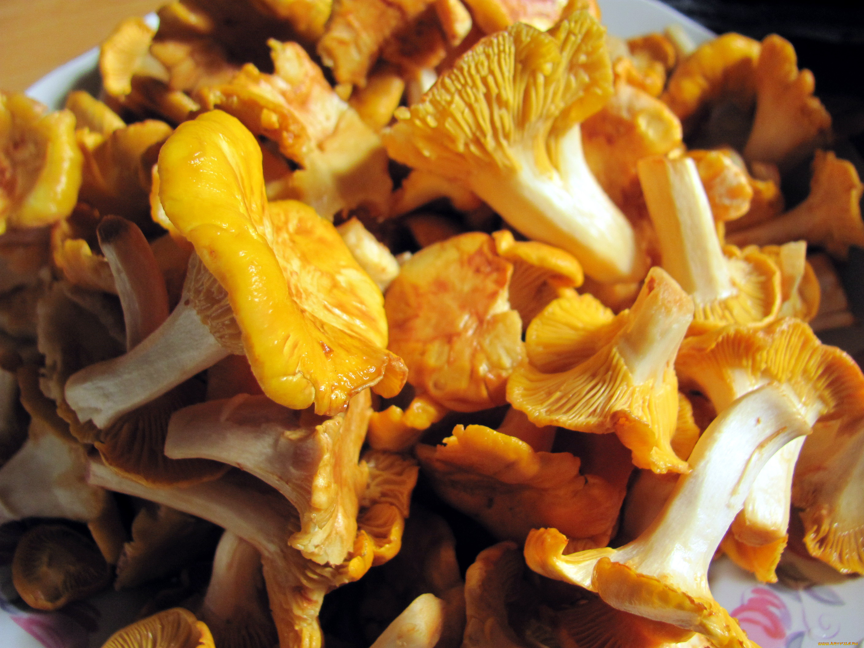 еда, грибы, , грибные, блюда, лисички