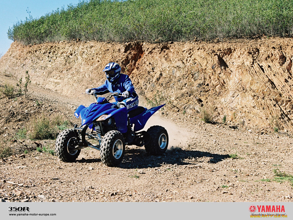 yfm350r, мотоциклы, квадроциклы