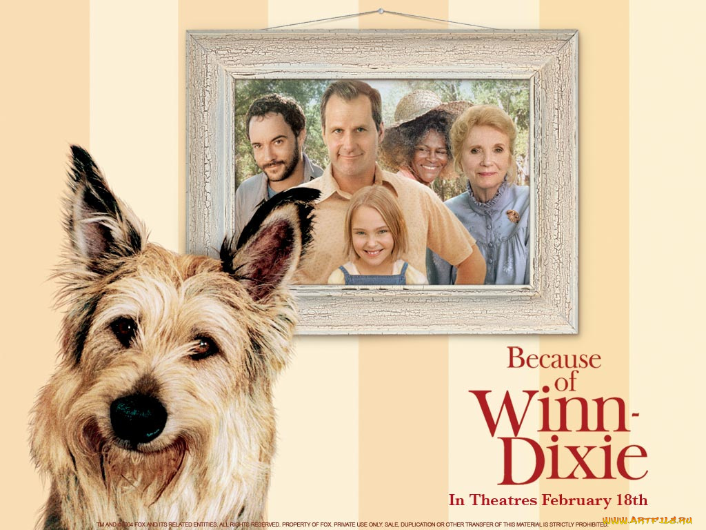 because, of, winn, dixie, кино, фильмы