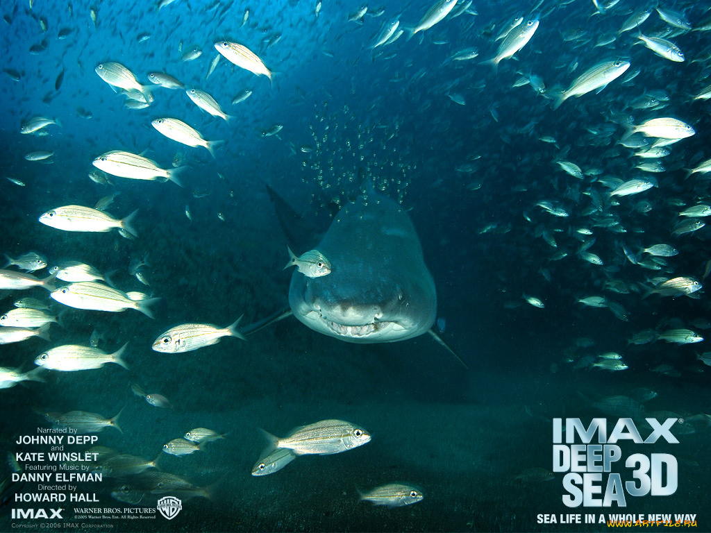 кино, фильмы, deep, sea, 3d