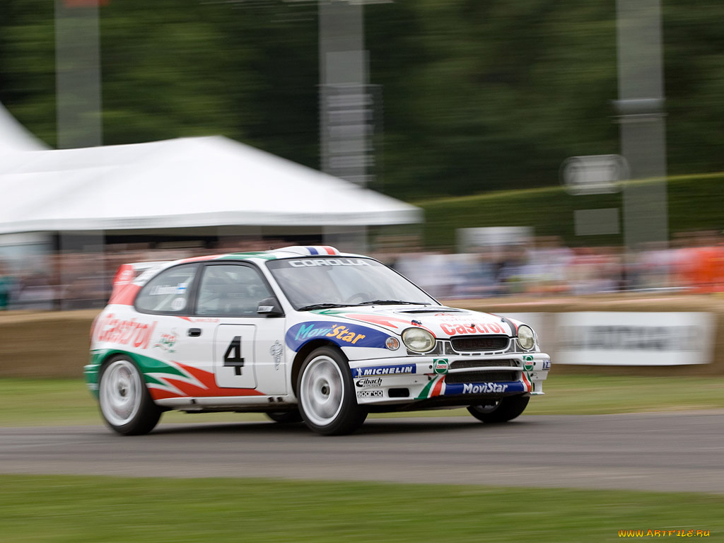 спорт, авторалли