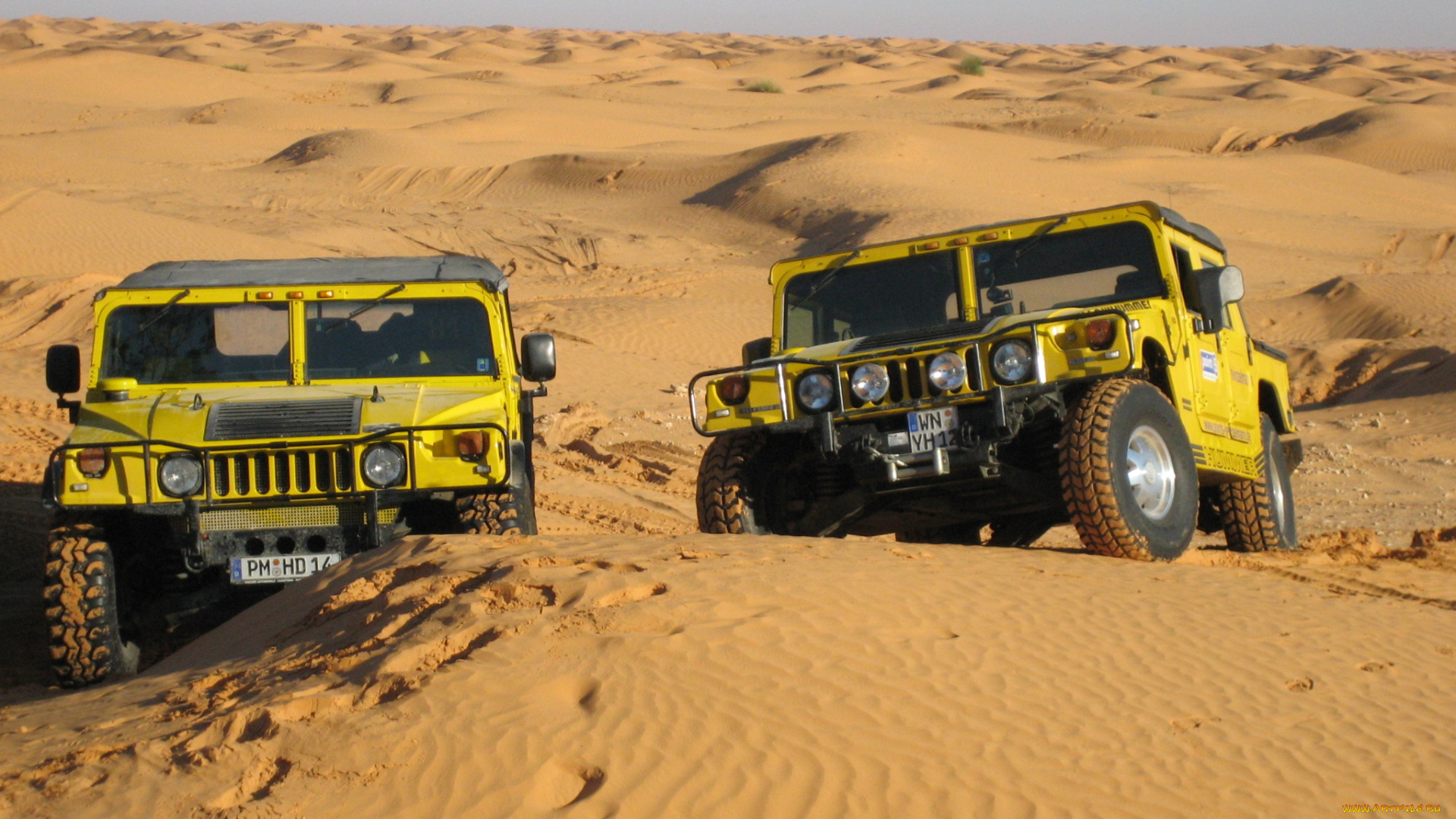 автомобили, hummer