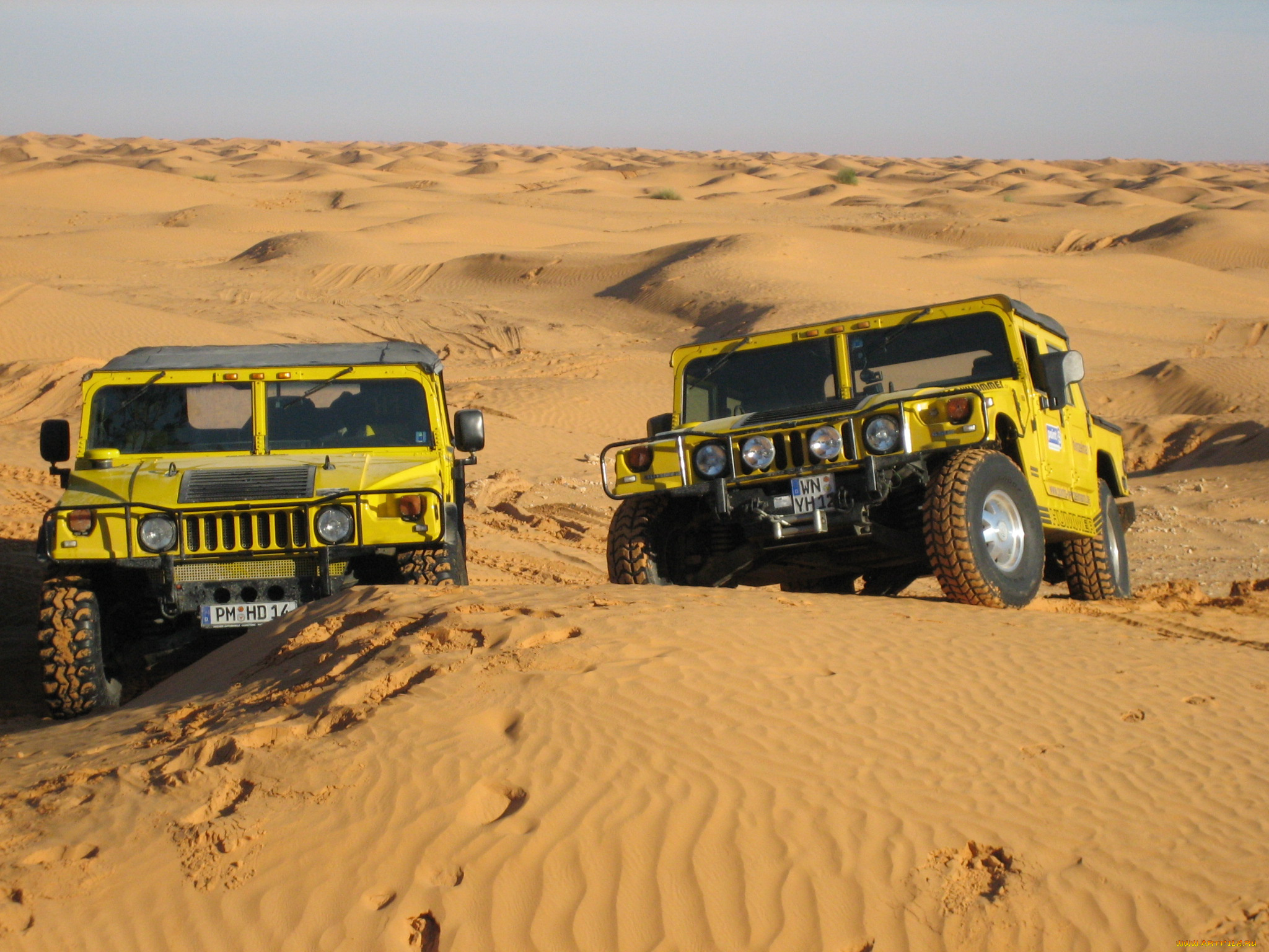 автомобили, hummer