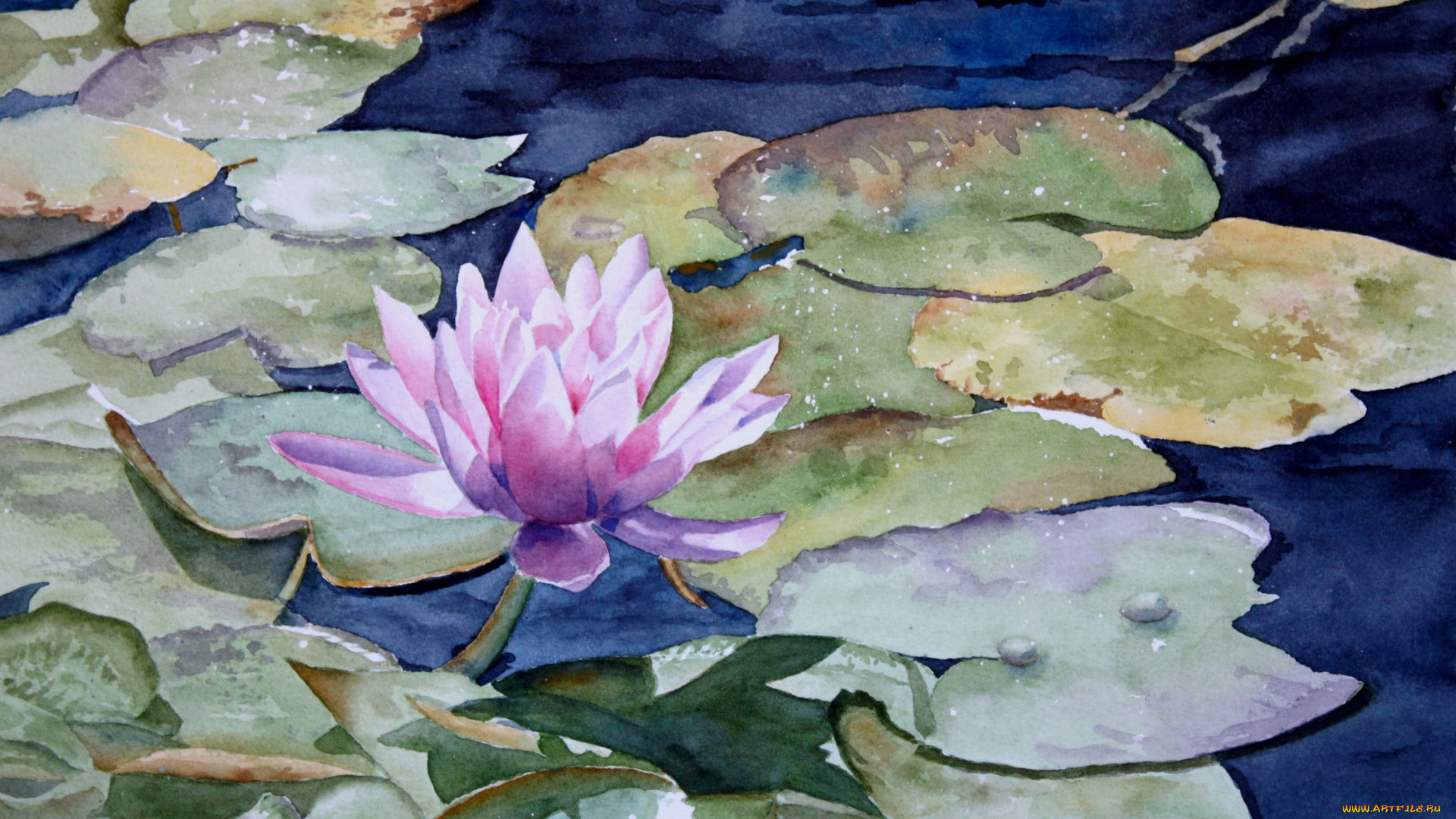 bobbi, price, рисованные, лилия