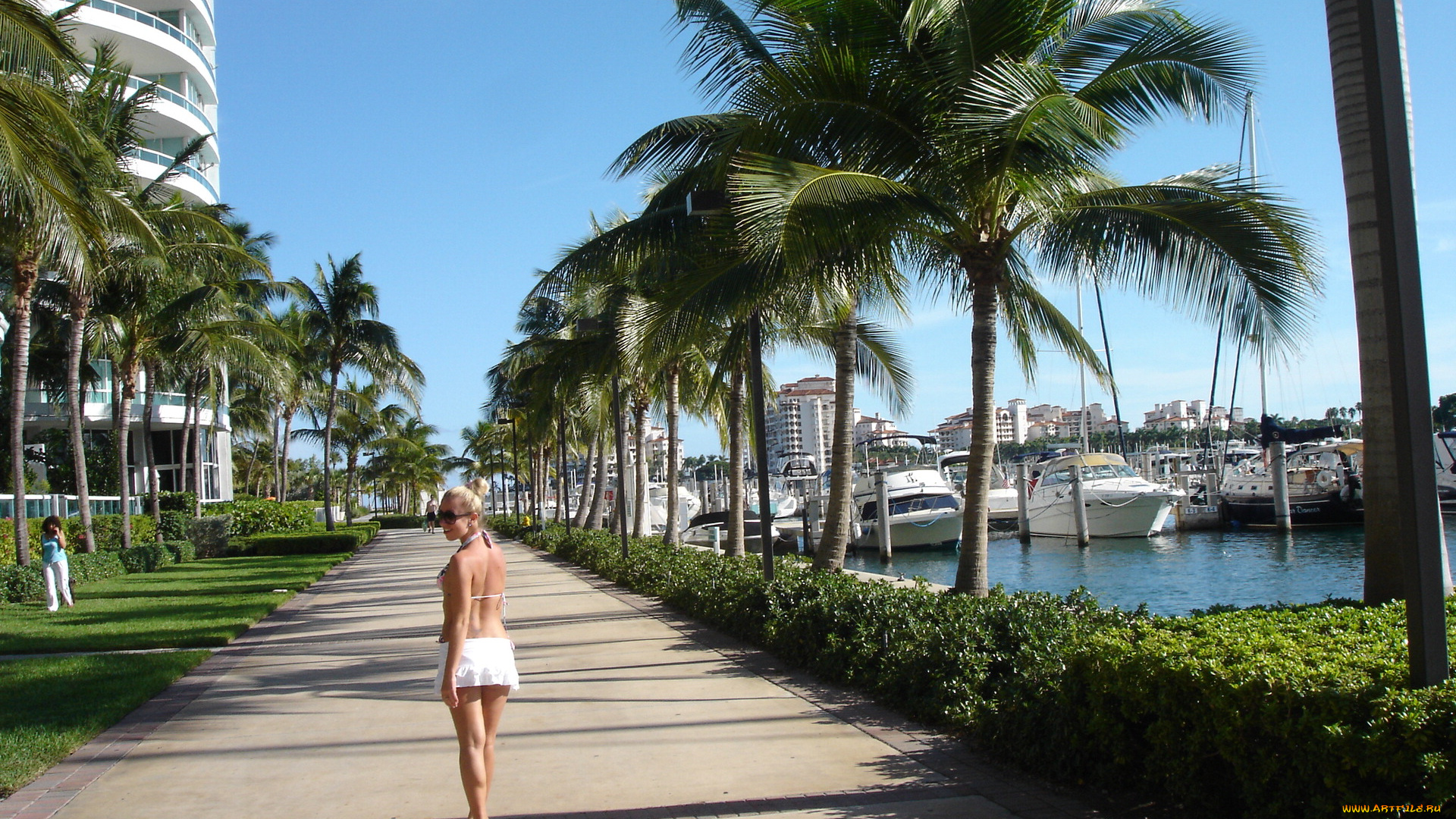 города, другое, майами