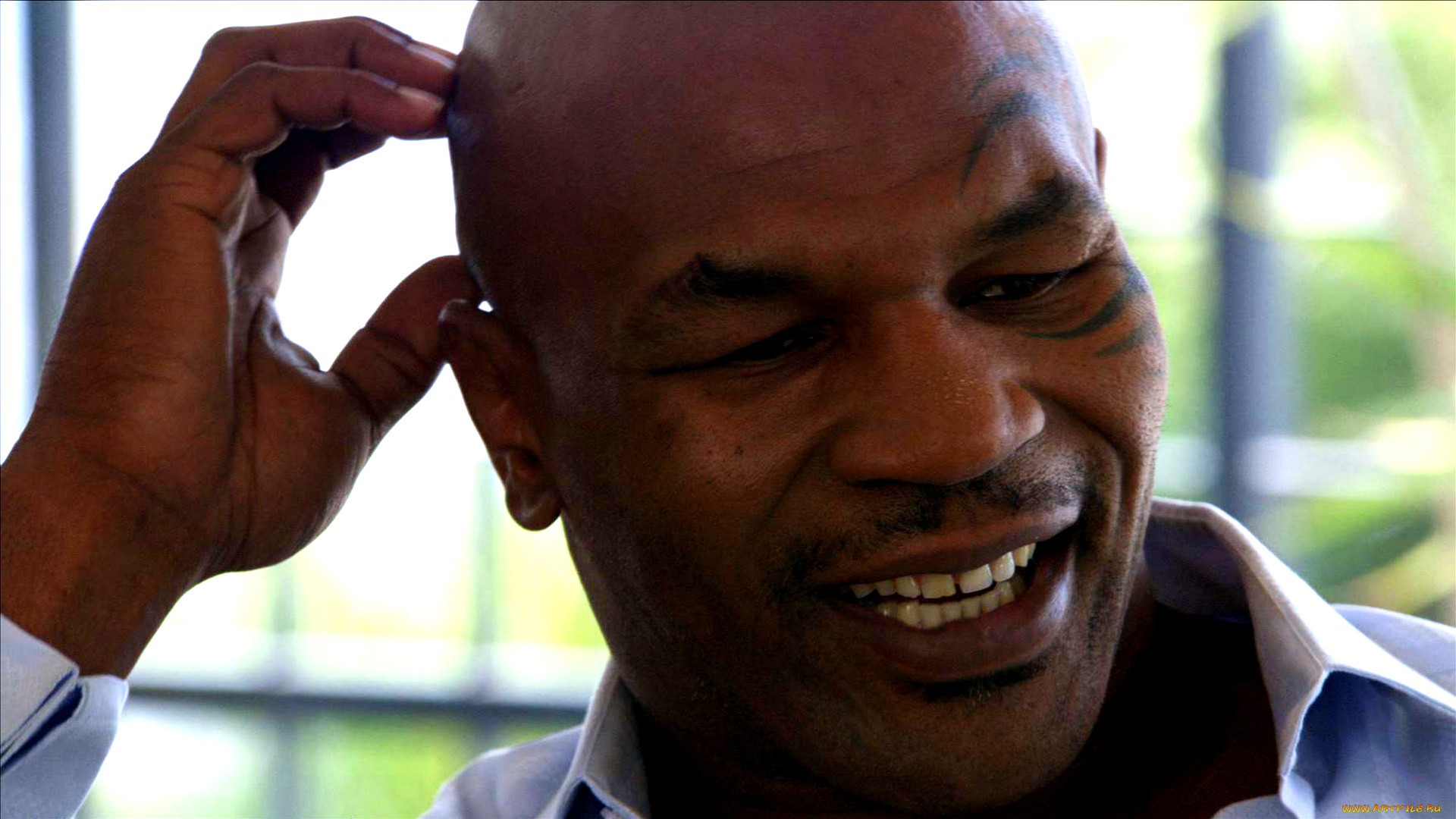mike, tyson, мужчины, боксёр, спортсмен