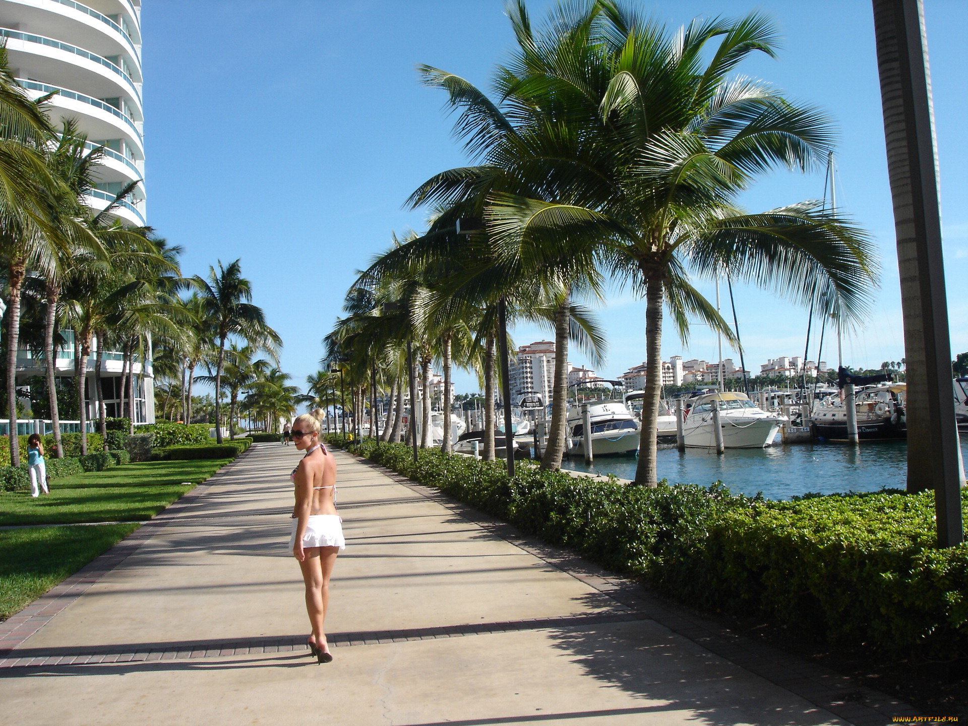 города, другое, майами