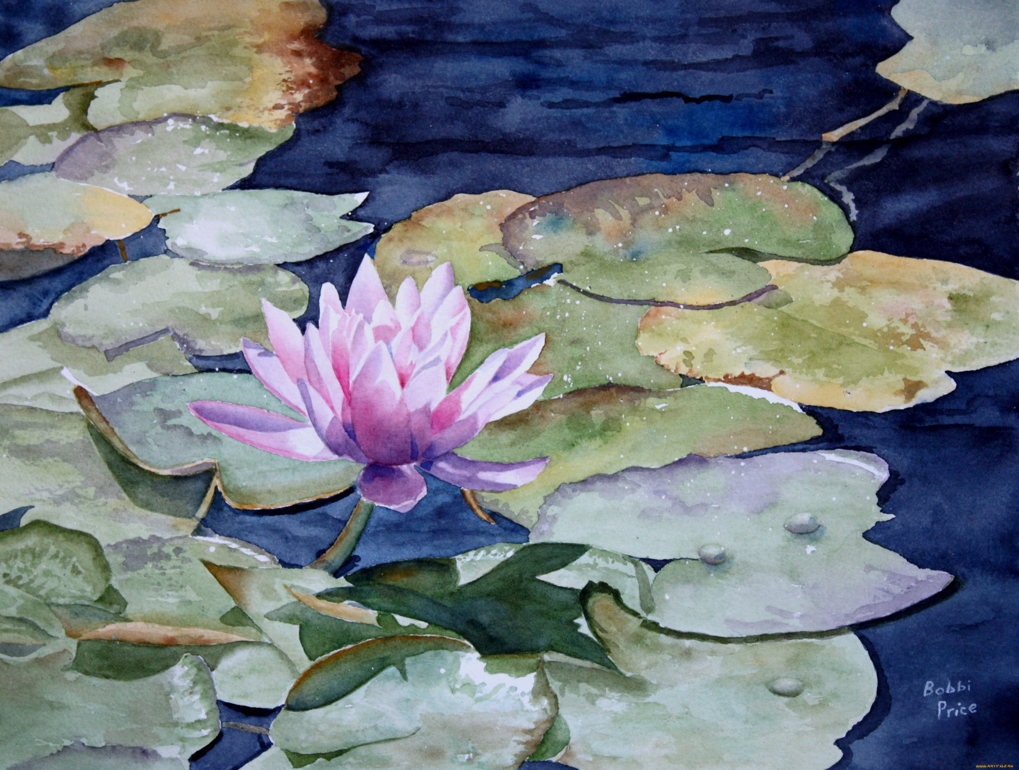 bobbi, price, рисованные, лилия