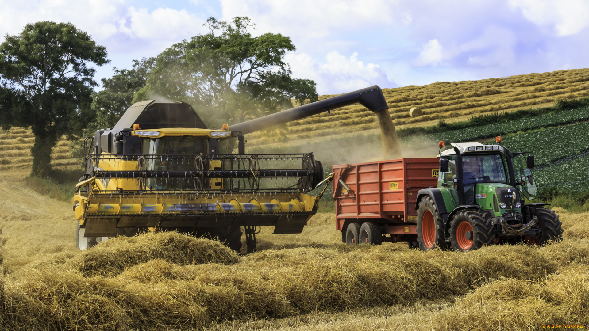 техника, комбайны, комбайн, поле, жатва, трактро