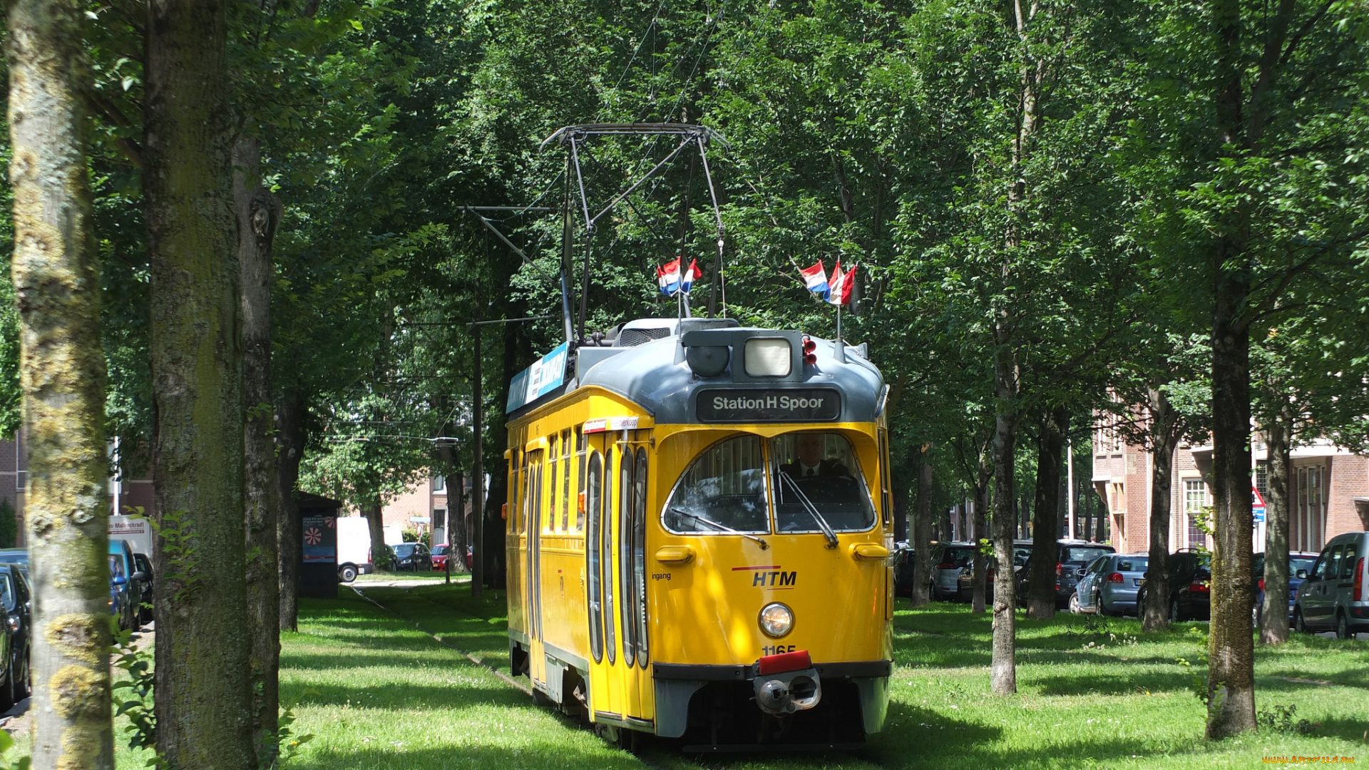 техника, трамваи, город, трамвай, рельсы