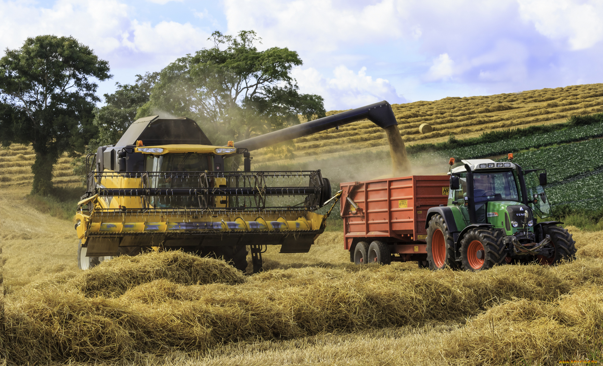 техника, комбайны, комбайн, поле, жатва, трактро