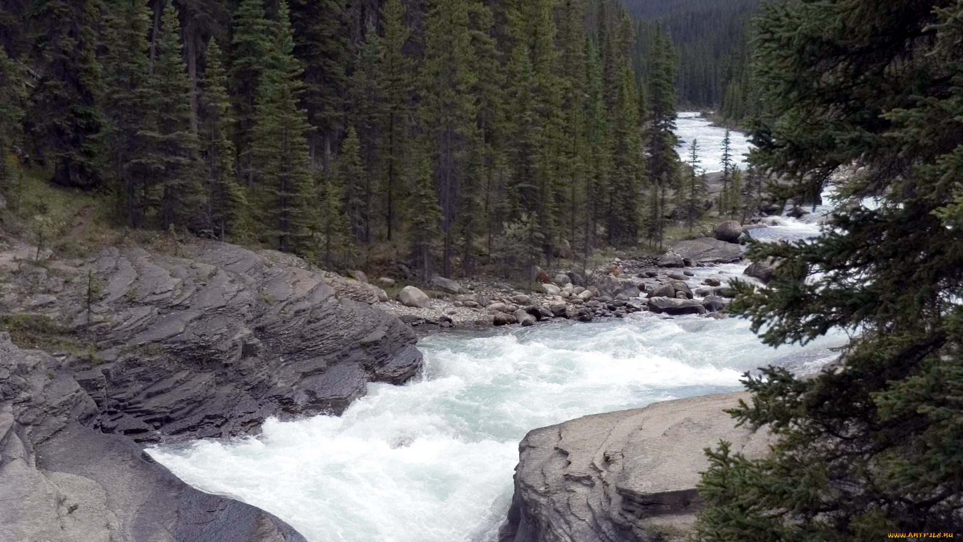 природа, реки, озера, поток, деревья, река, горная