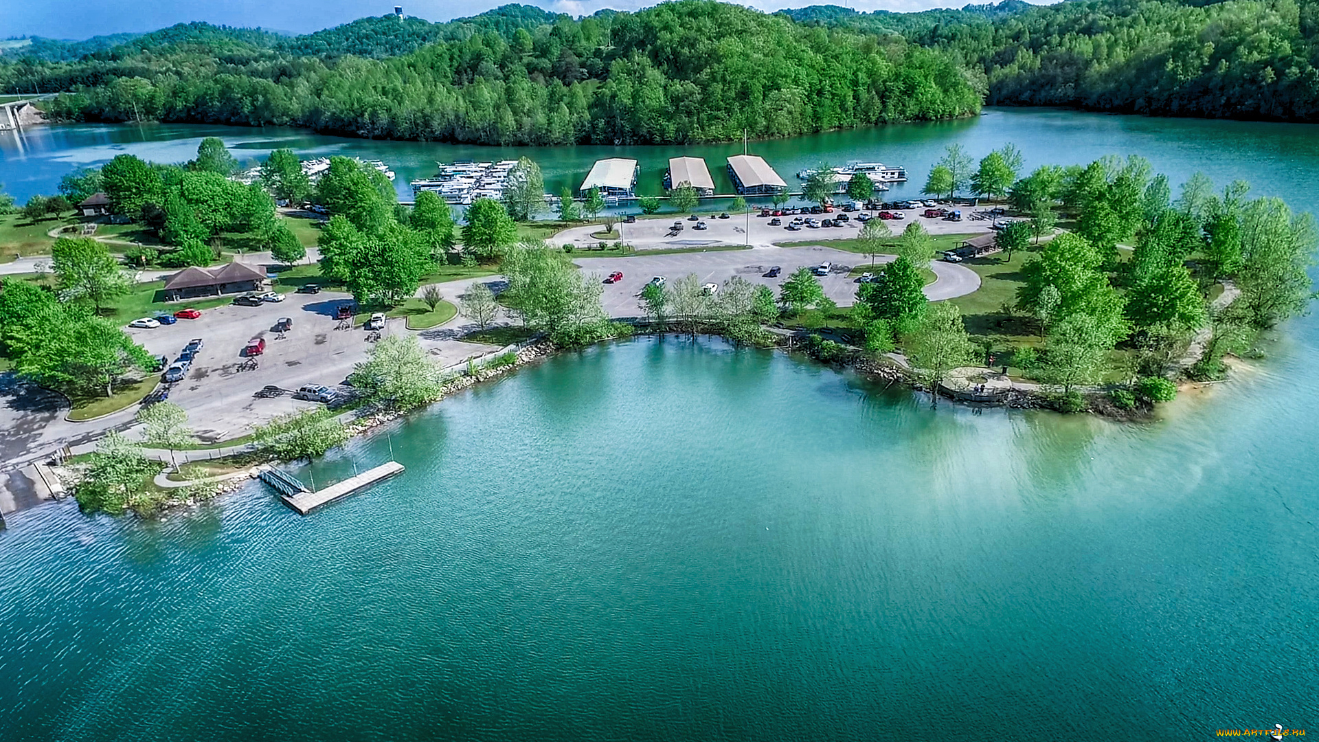 природа, реки, озера, река, лес