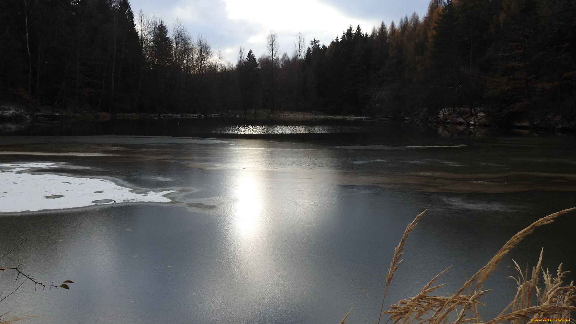 природа, реки, озера, вода, лес, зима