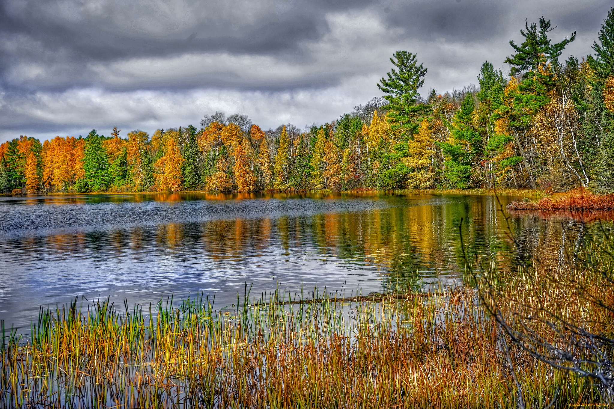 природа, реки, озера, лес, река