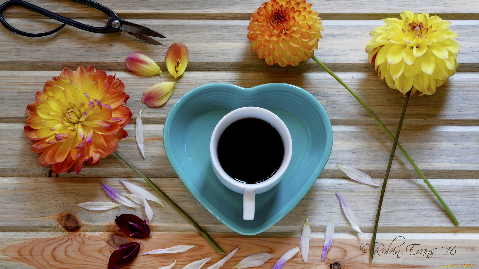 еда, кофе, , кофейные, зёрна, георгин, цветы, чашка