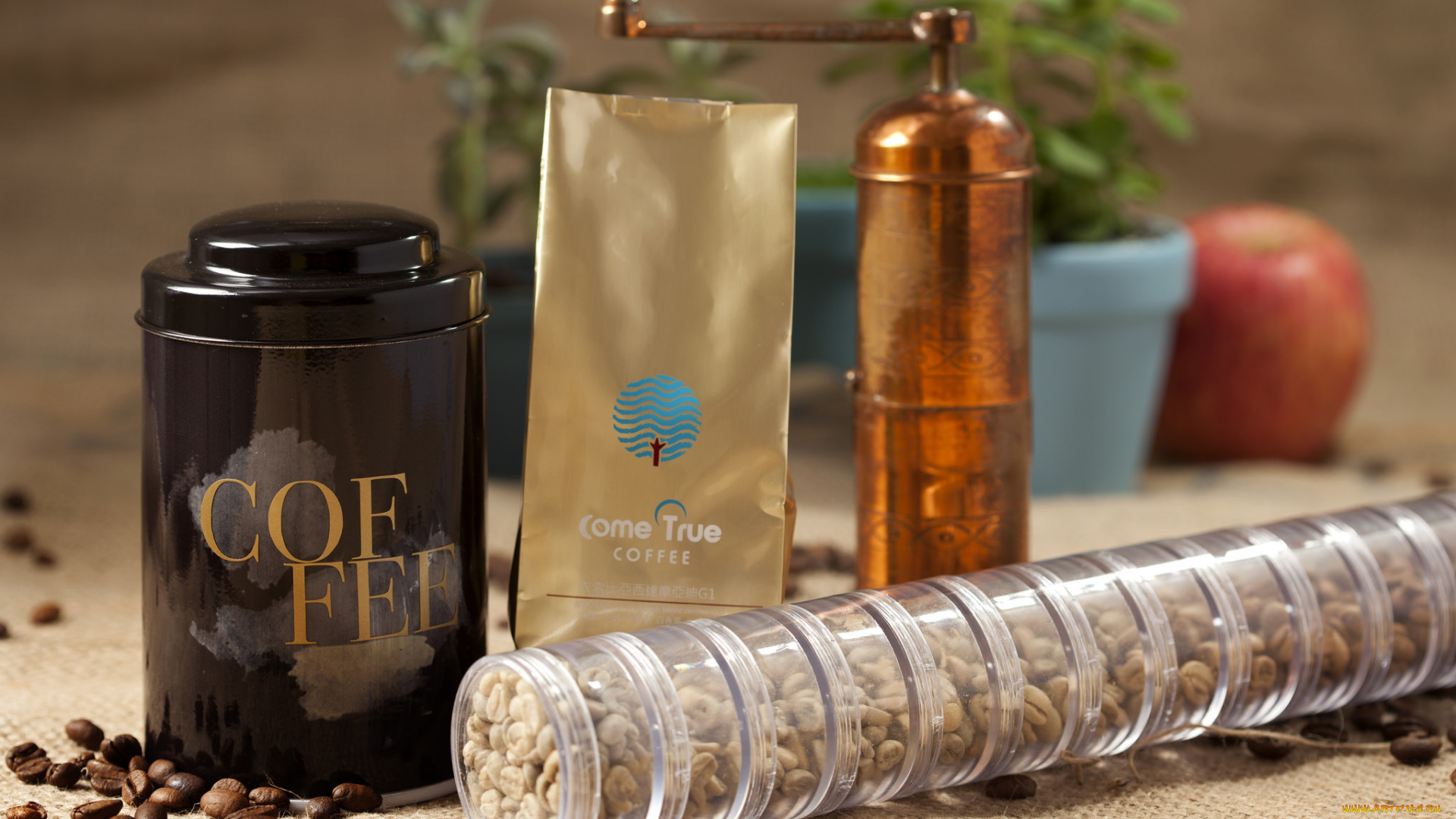 еда, кофе, , кофейные, зёрна, питье