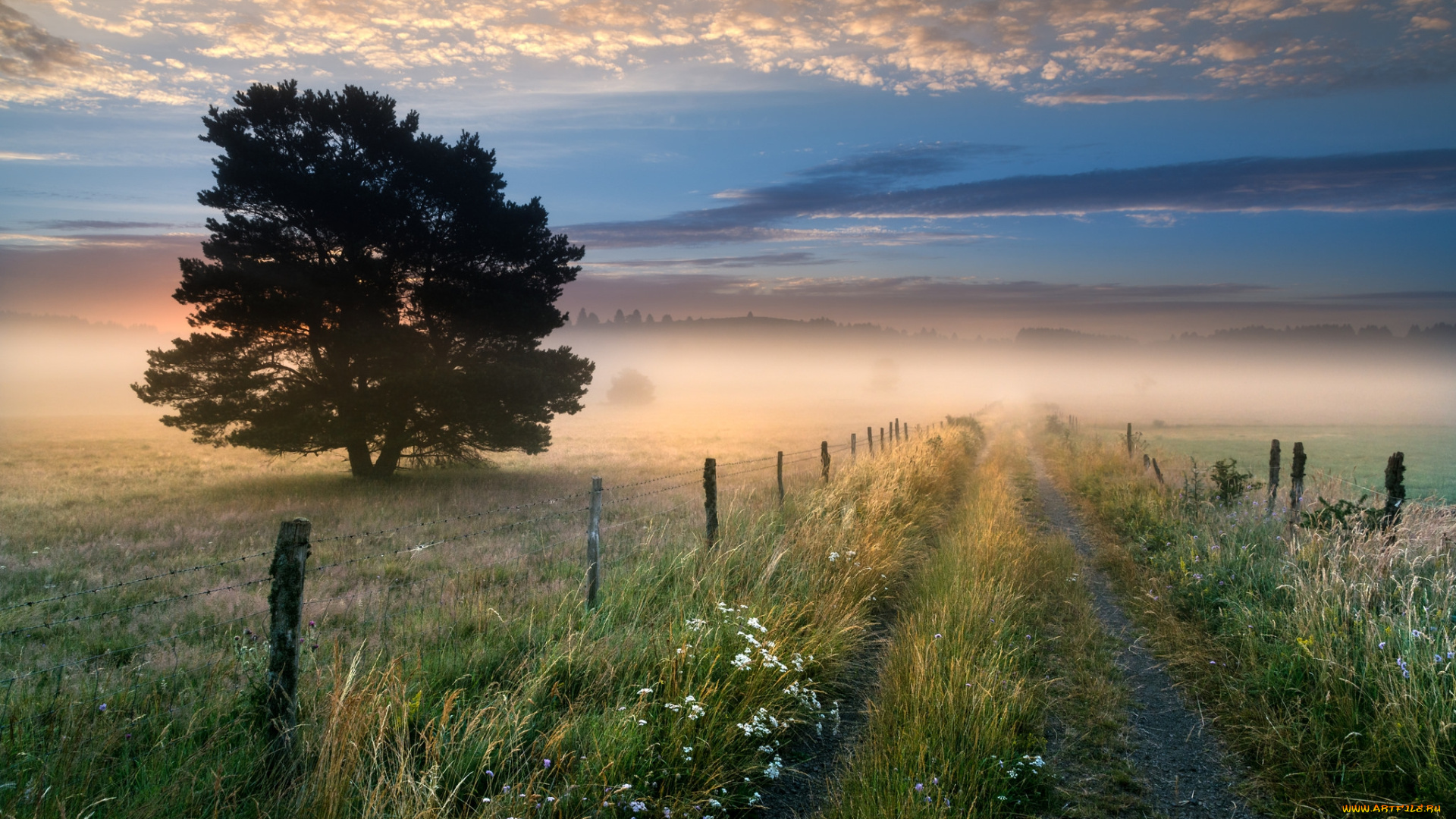природа, дороги, тракт