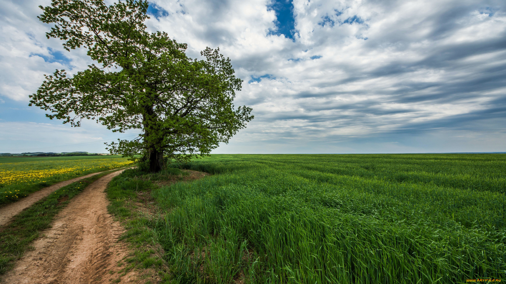 природа, дороги, тракт