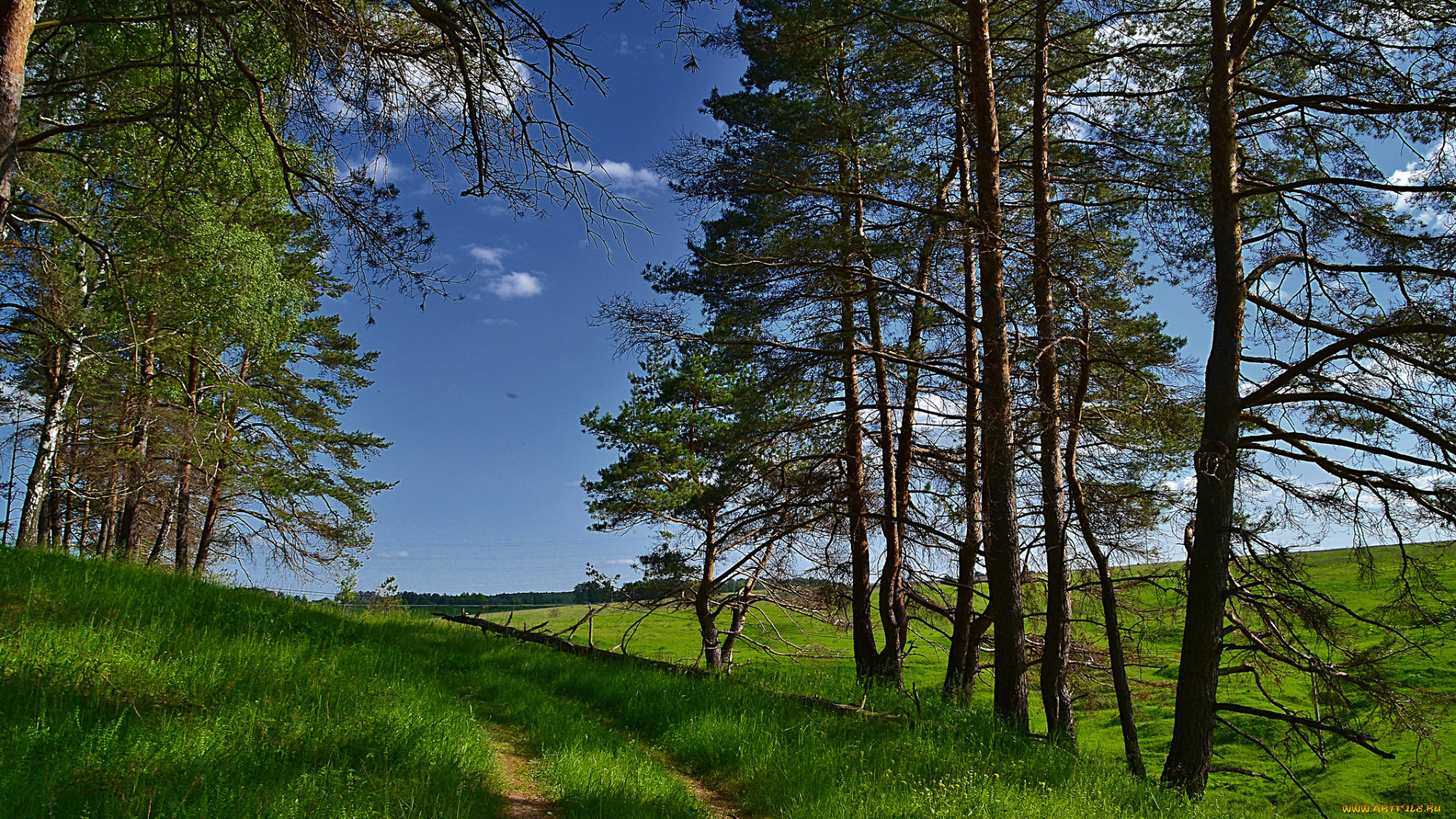природа, дороги, тракт