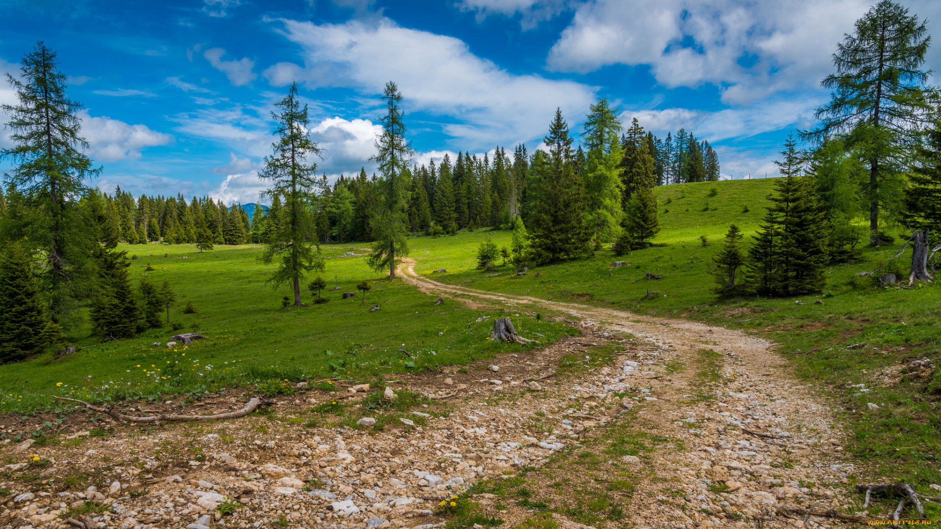 природа, дороги, тракт