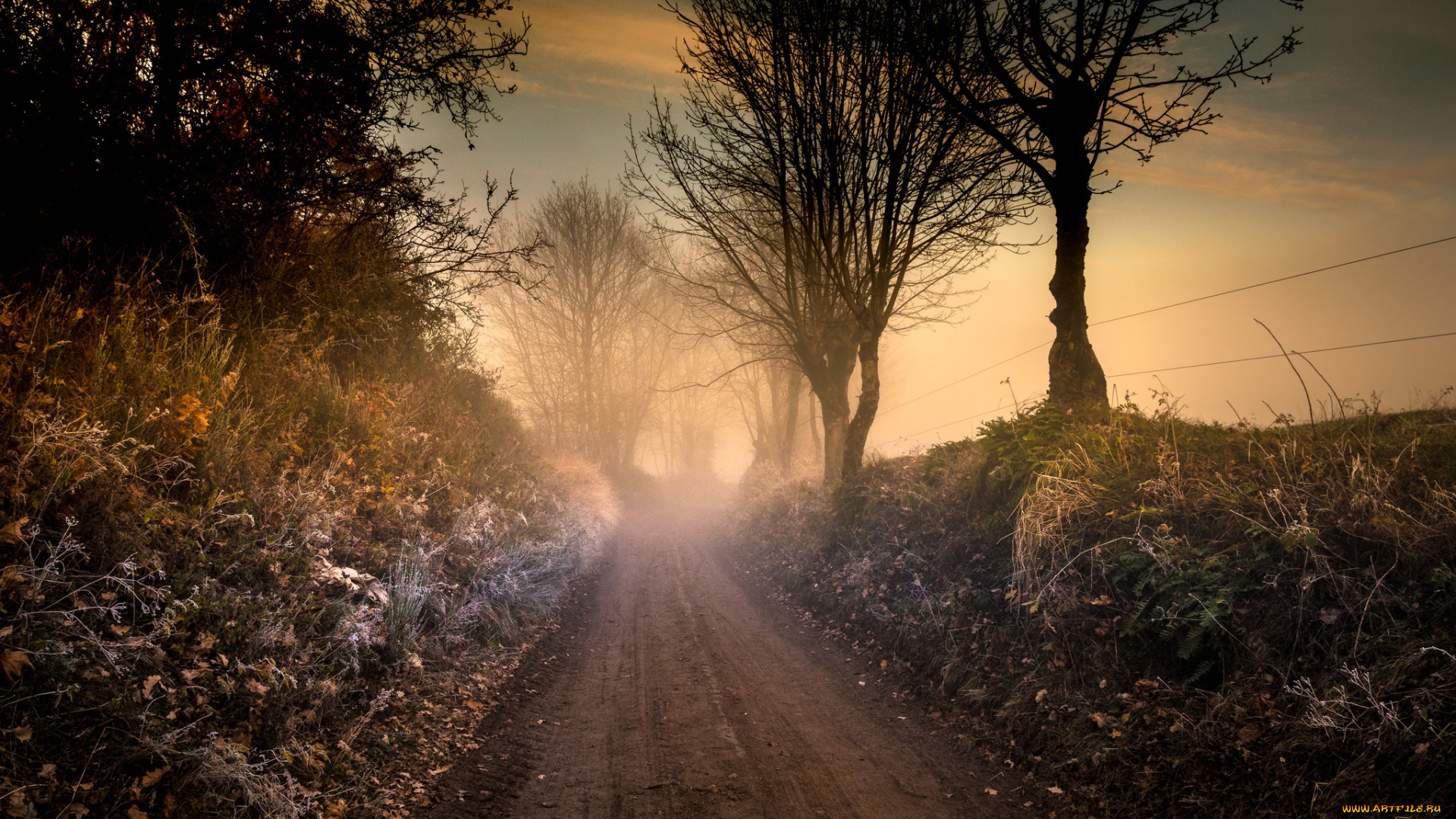 природа, дороги, тракт