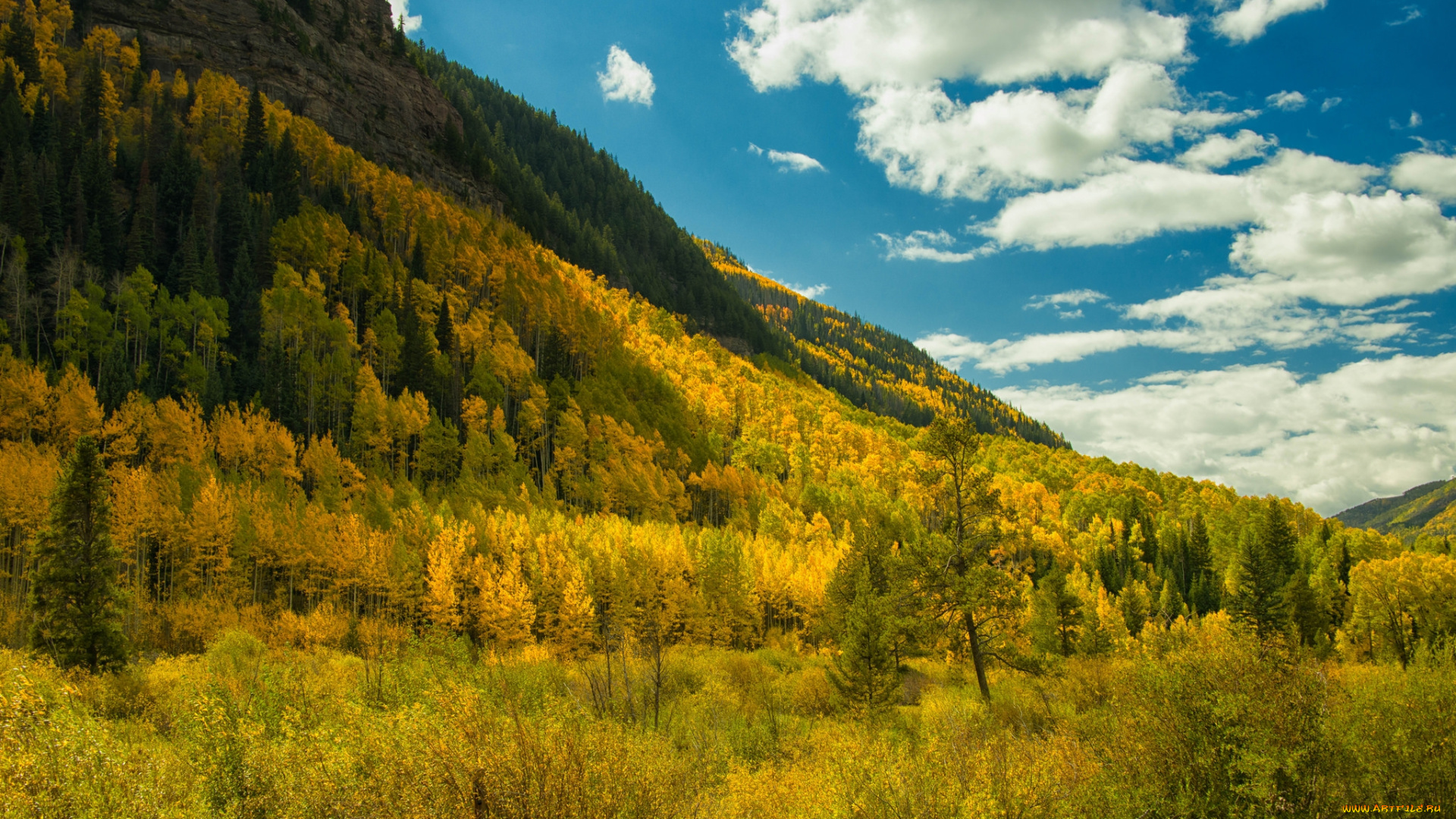 природа, горы, простор