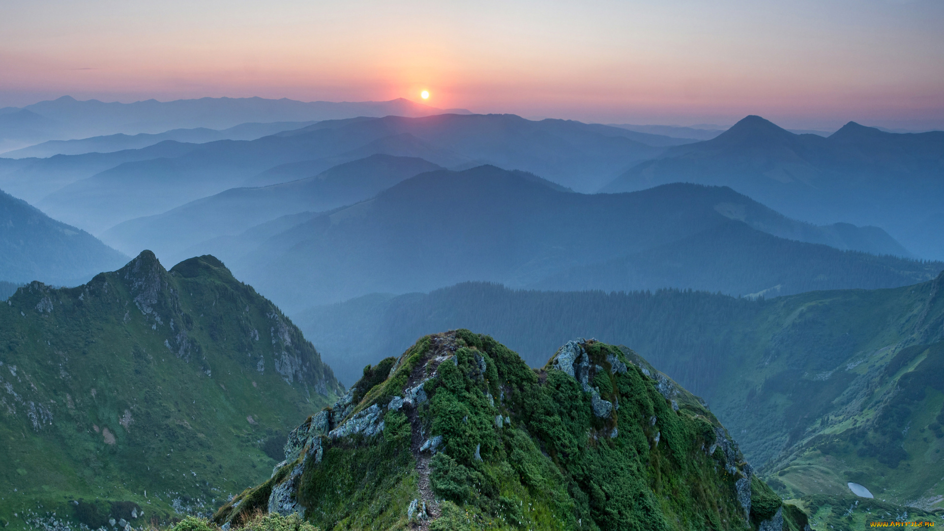 природа, горы, туман, закат, лес, пейзаж, украина