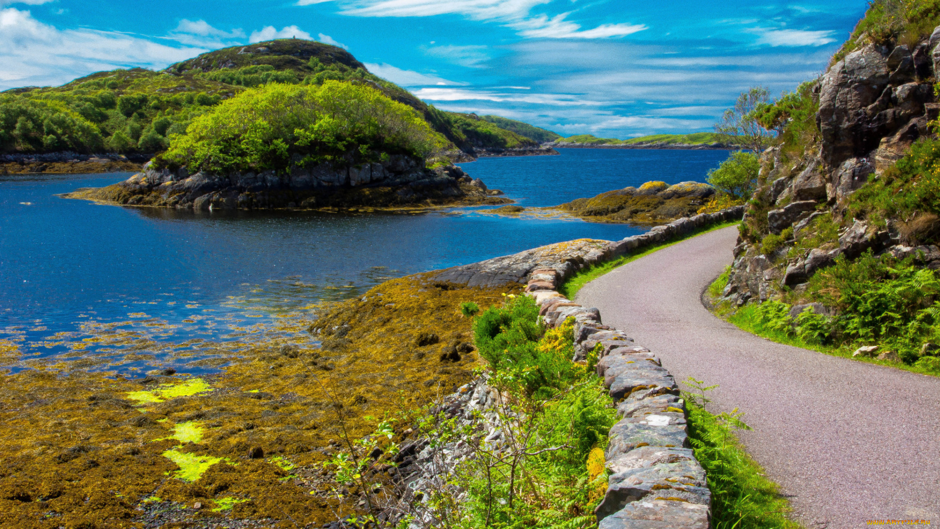 природа, пейзажи, простор