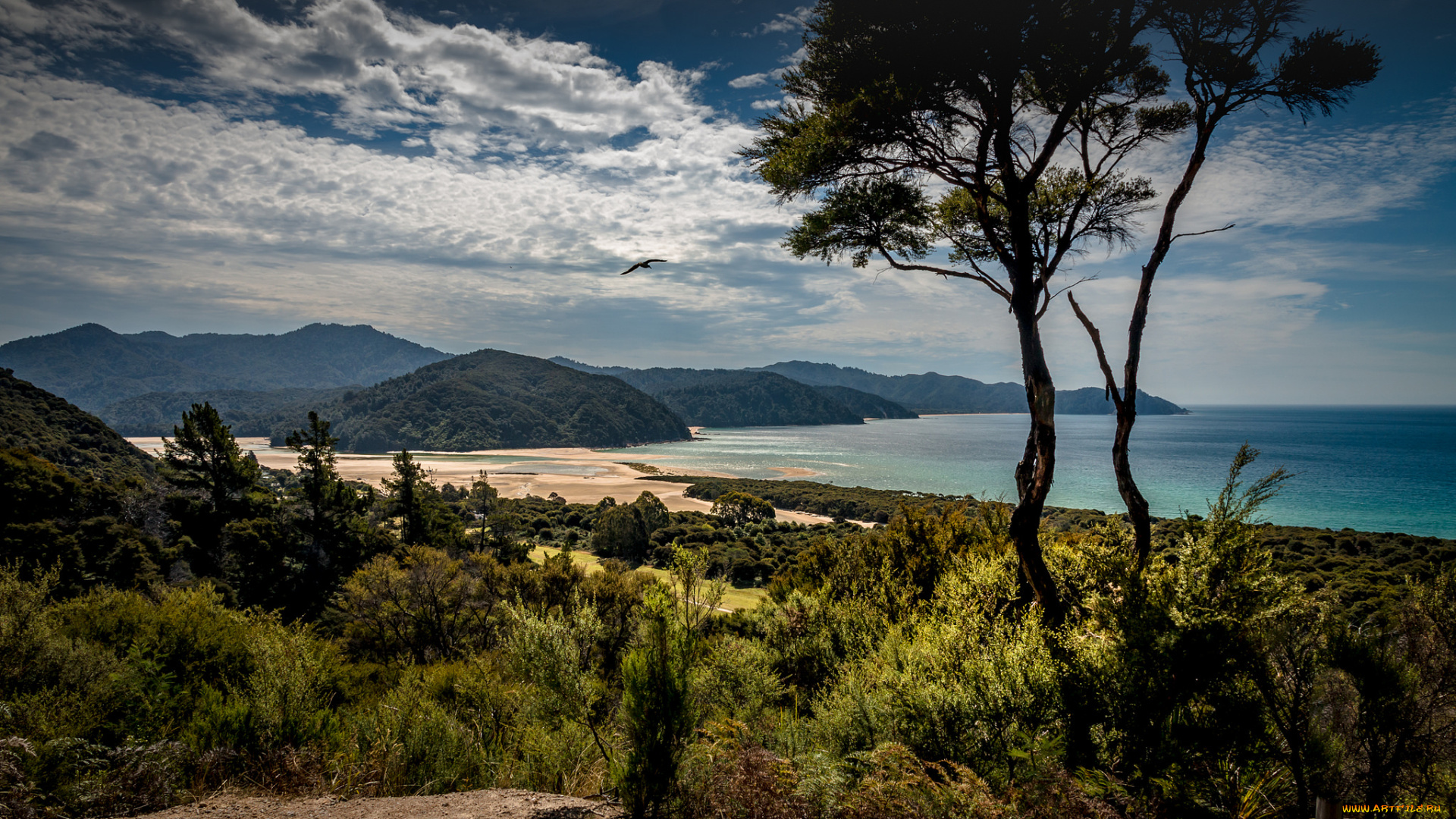 природа, побережье, море, берег